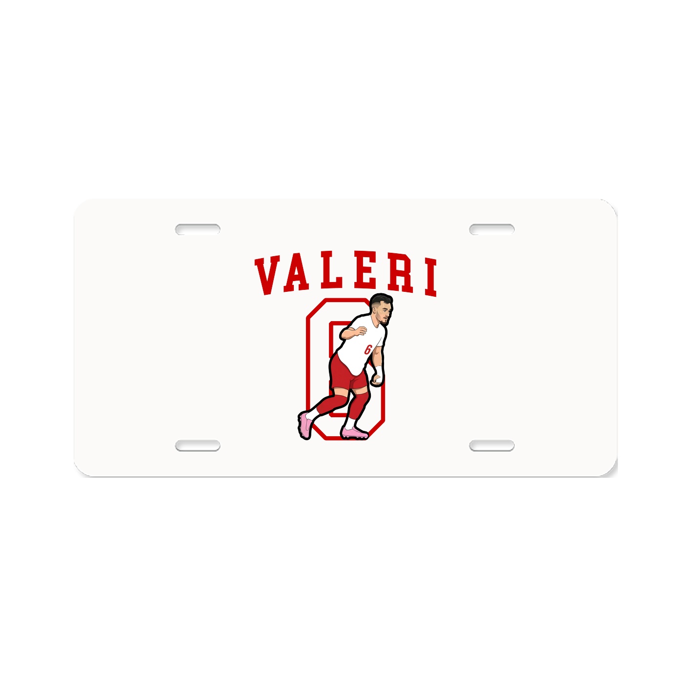 Aluminum License Plate