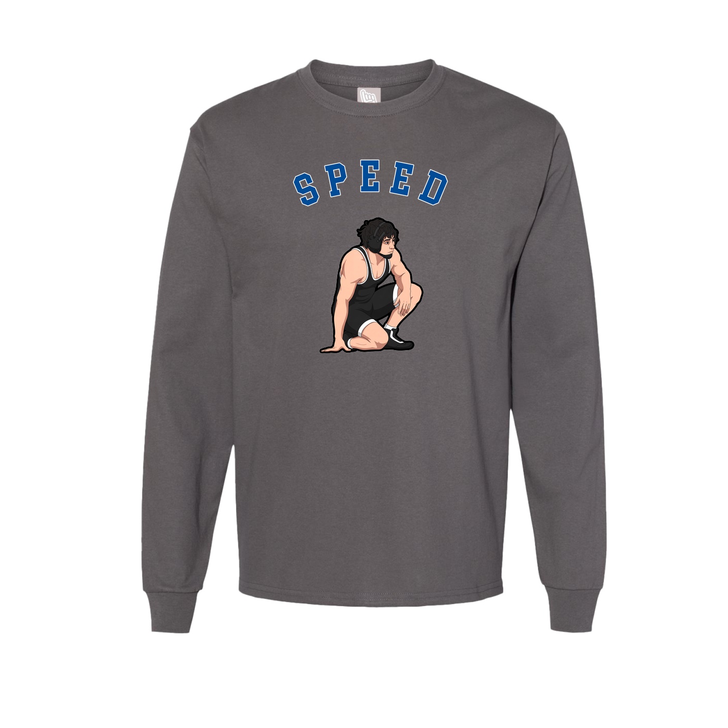 Long Sleeve Tee — Shirsey Arch in Grey