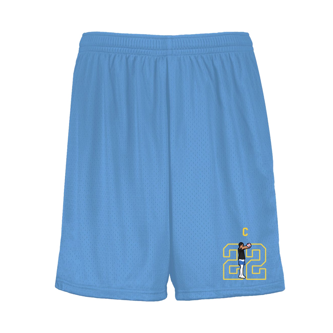 Shorts — Shirsey Arch in Light Blue