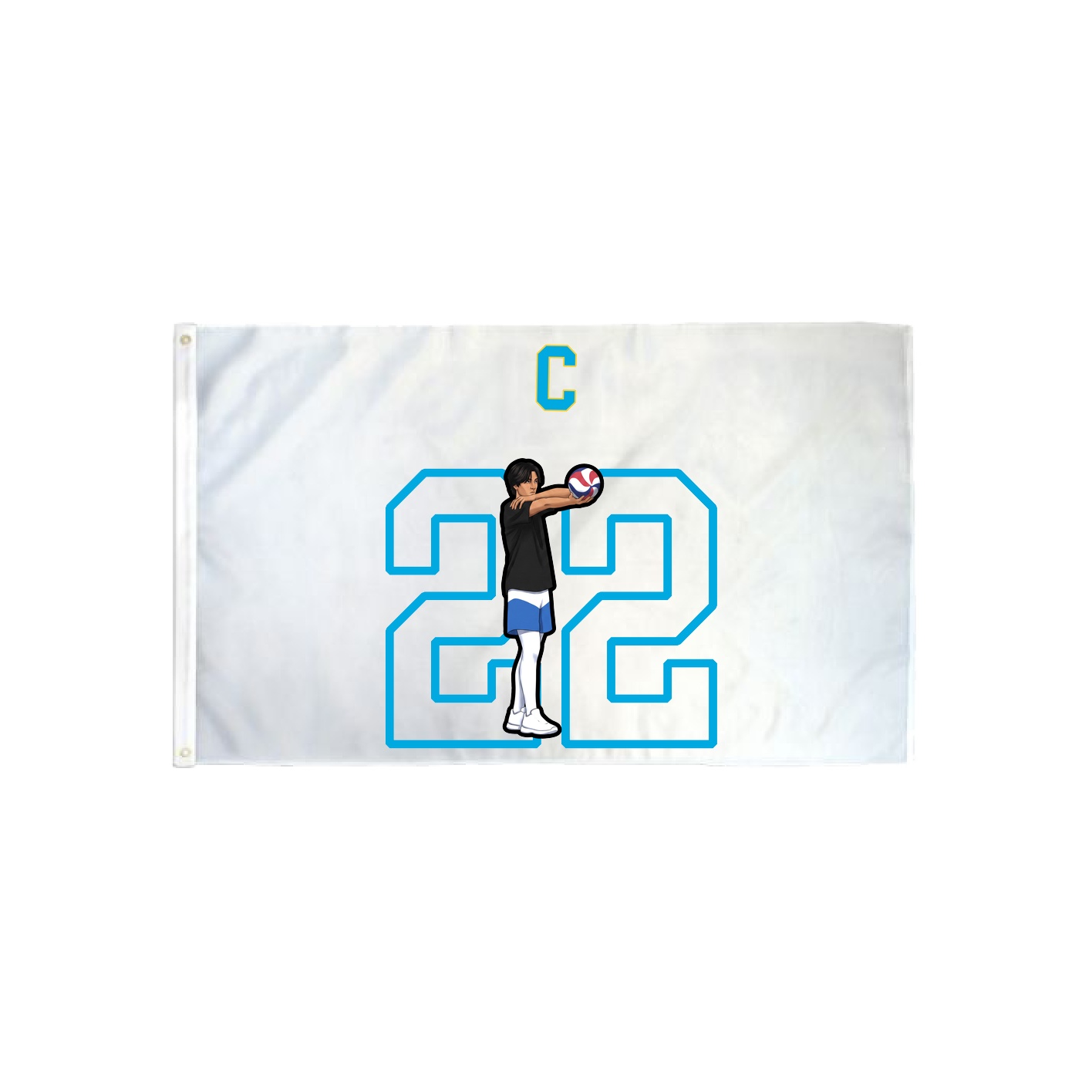 3x5 Flag — Shirsey Arch in Classic