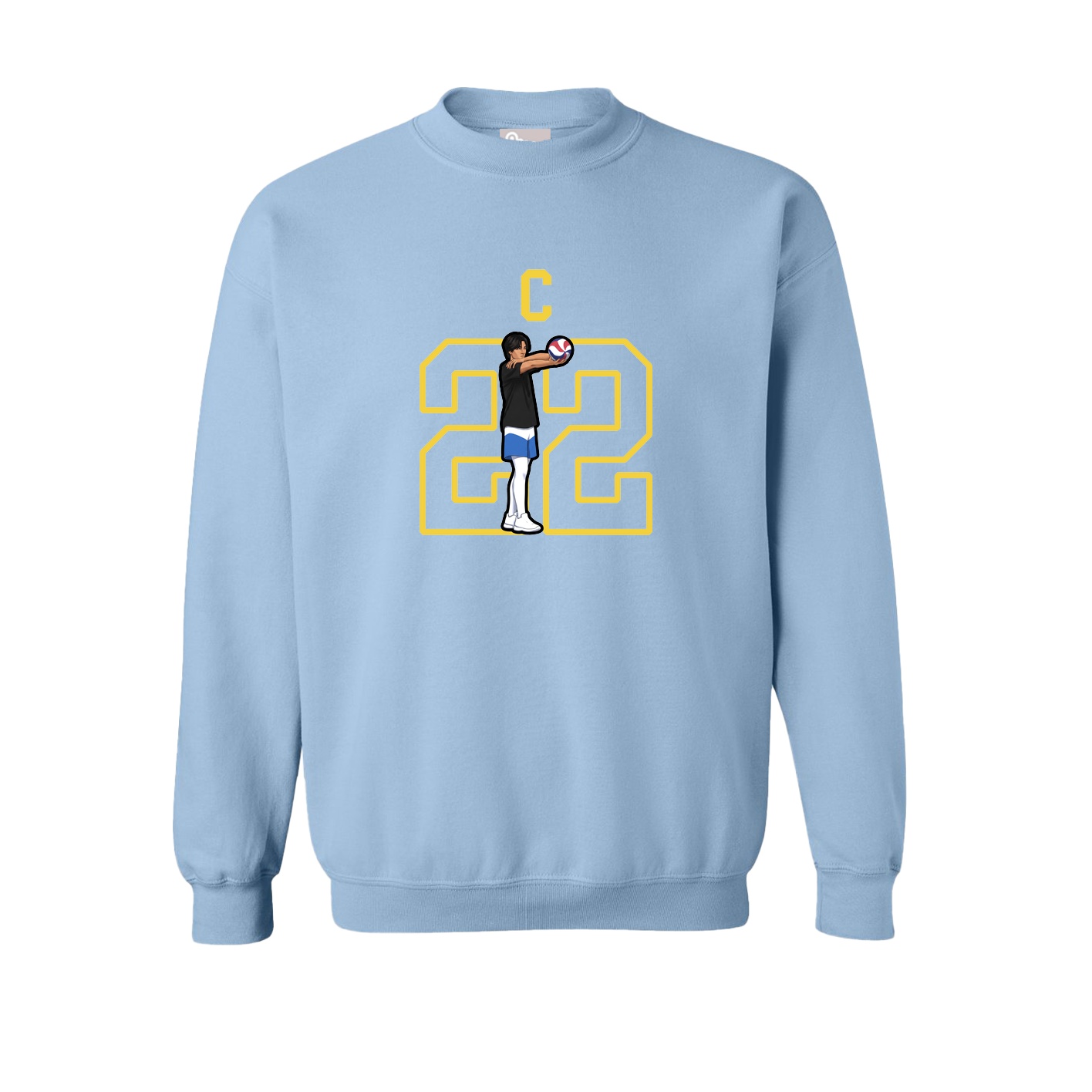 Fleece Crew — Shirsey in Light Blue