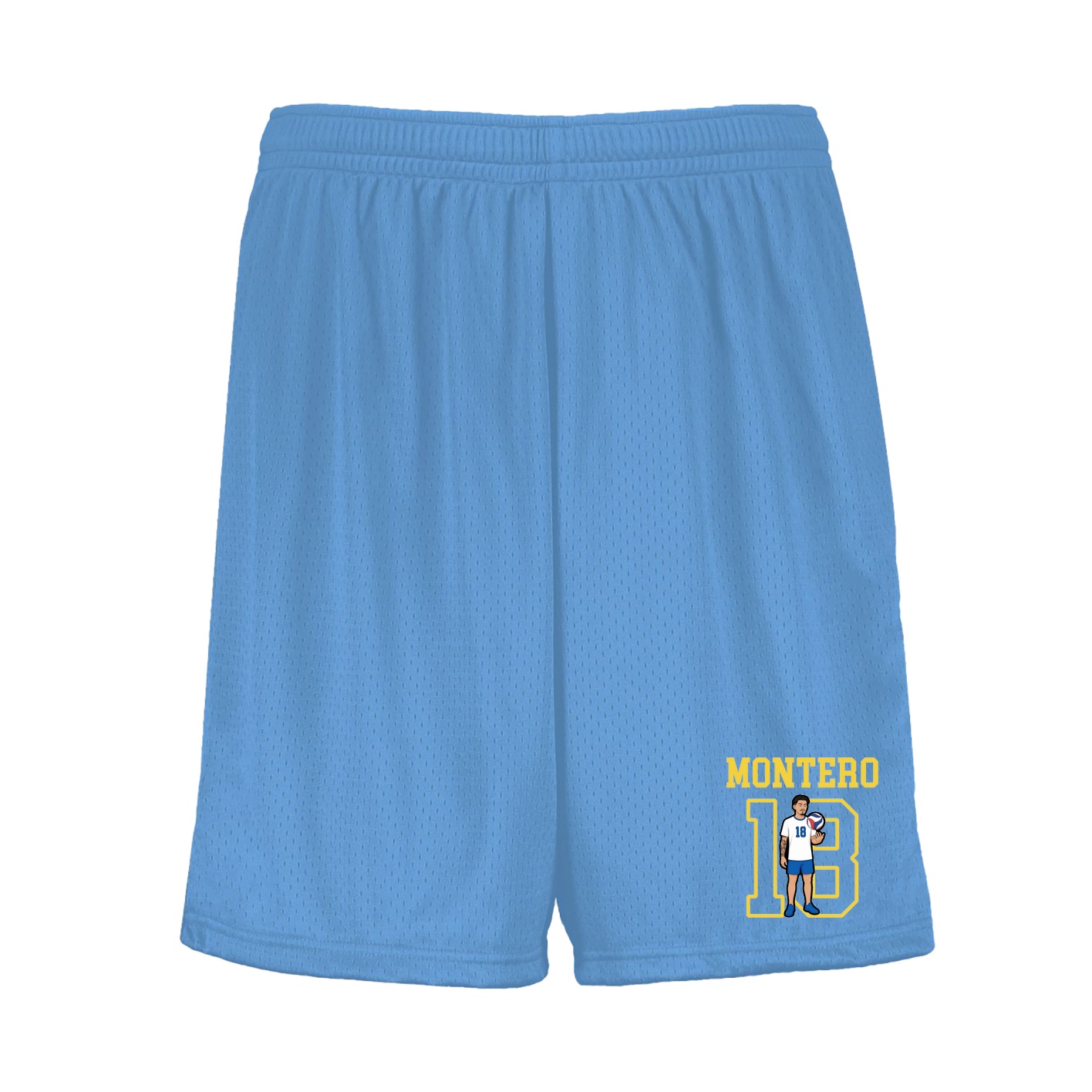 Shorts — Shirsey in Light Blue