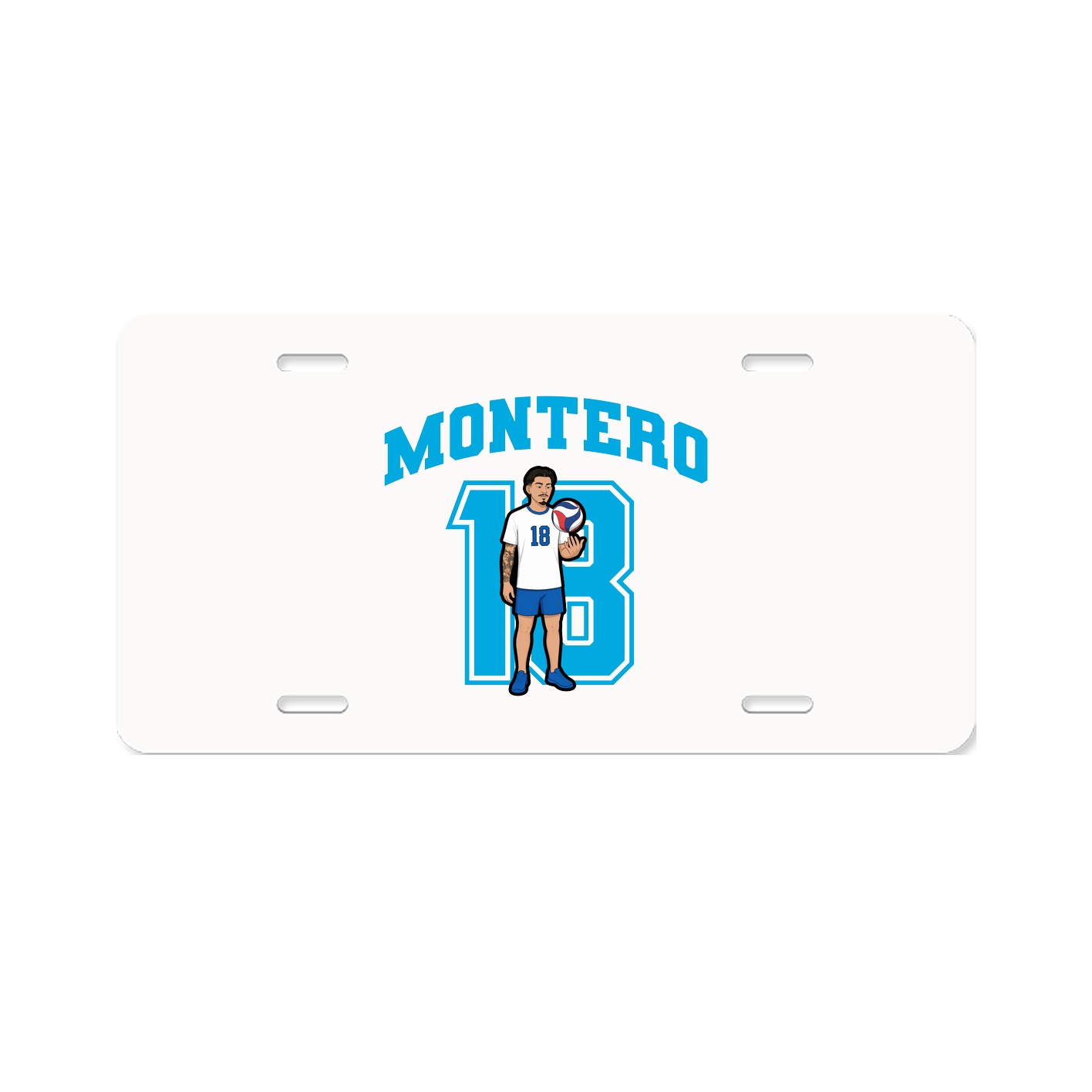 License Plate — Number in Classic
