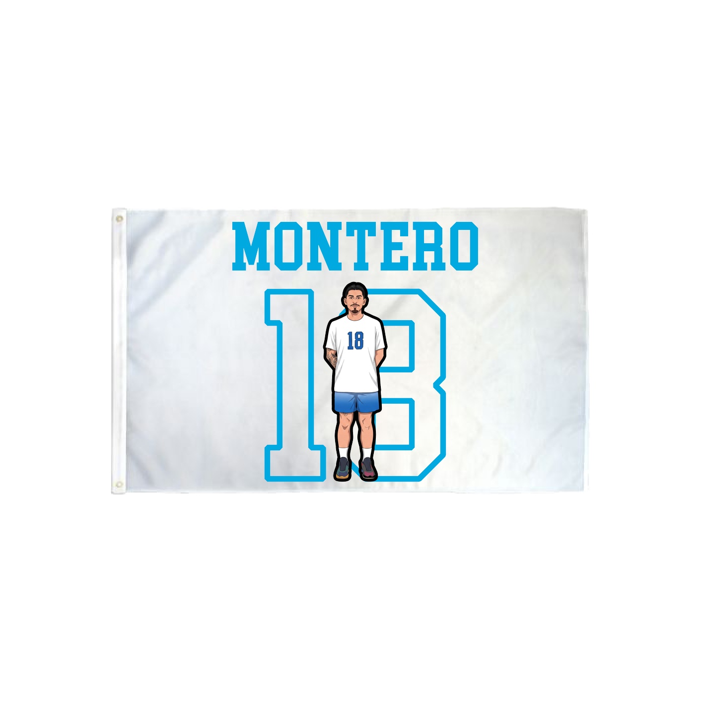 3x5 Flag — Shirsey in Classic