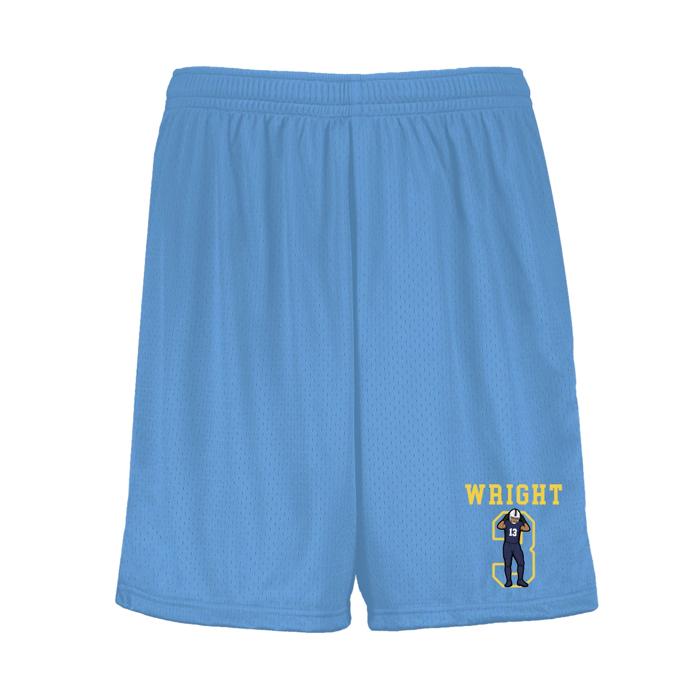 Shorts — Shirsey in Light Blue