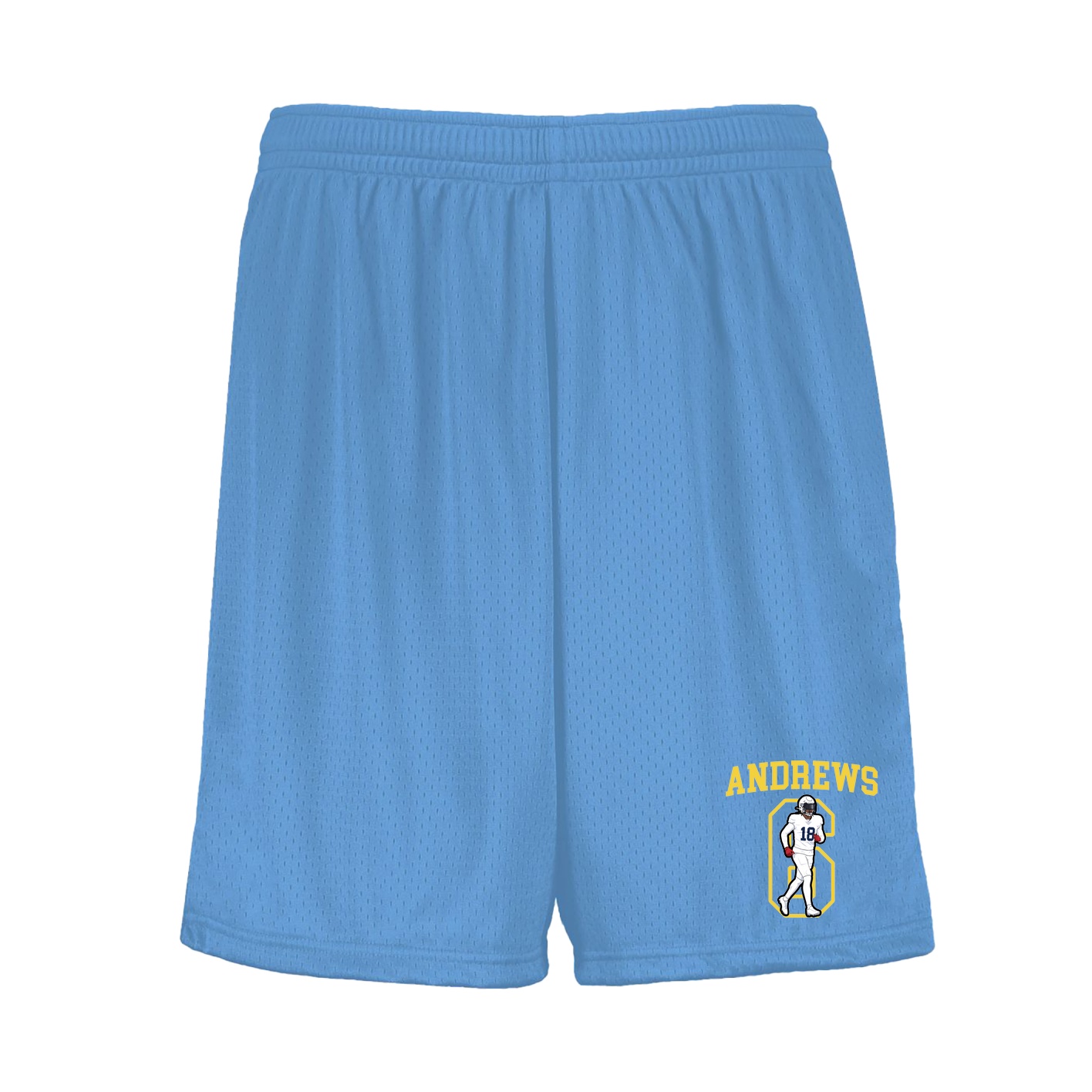 Shorts — Shirsey in Light Blue