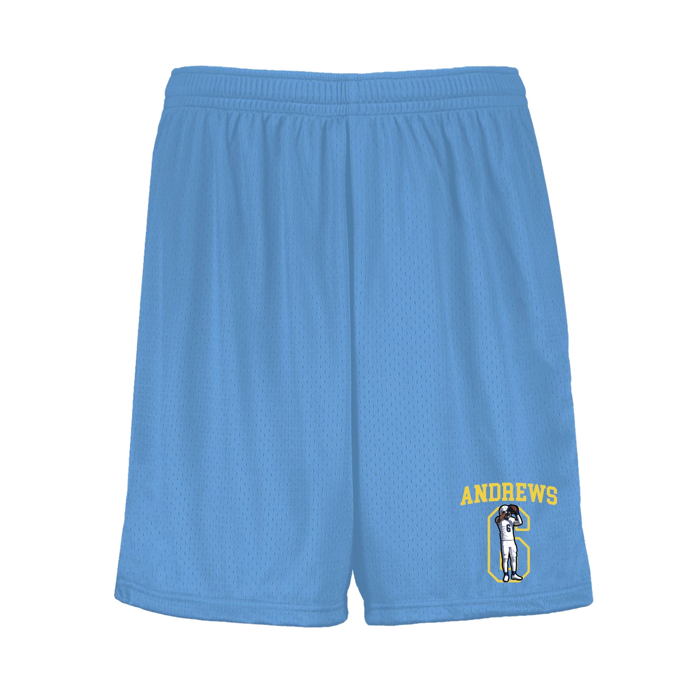 Shorts — Shirsey in Light Blue