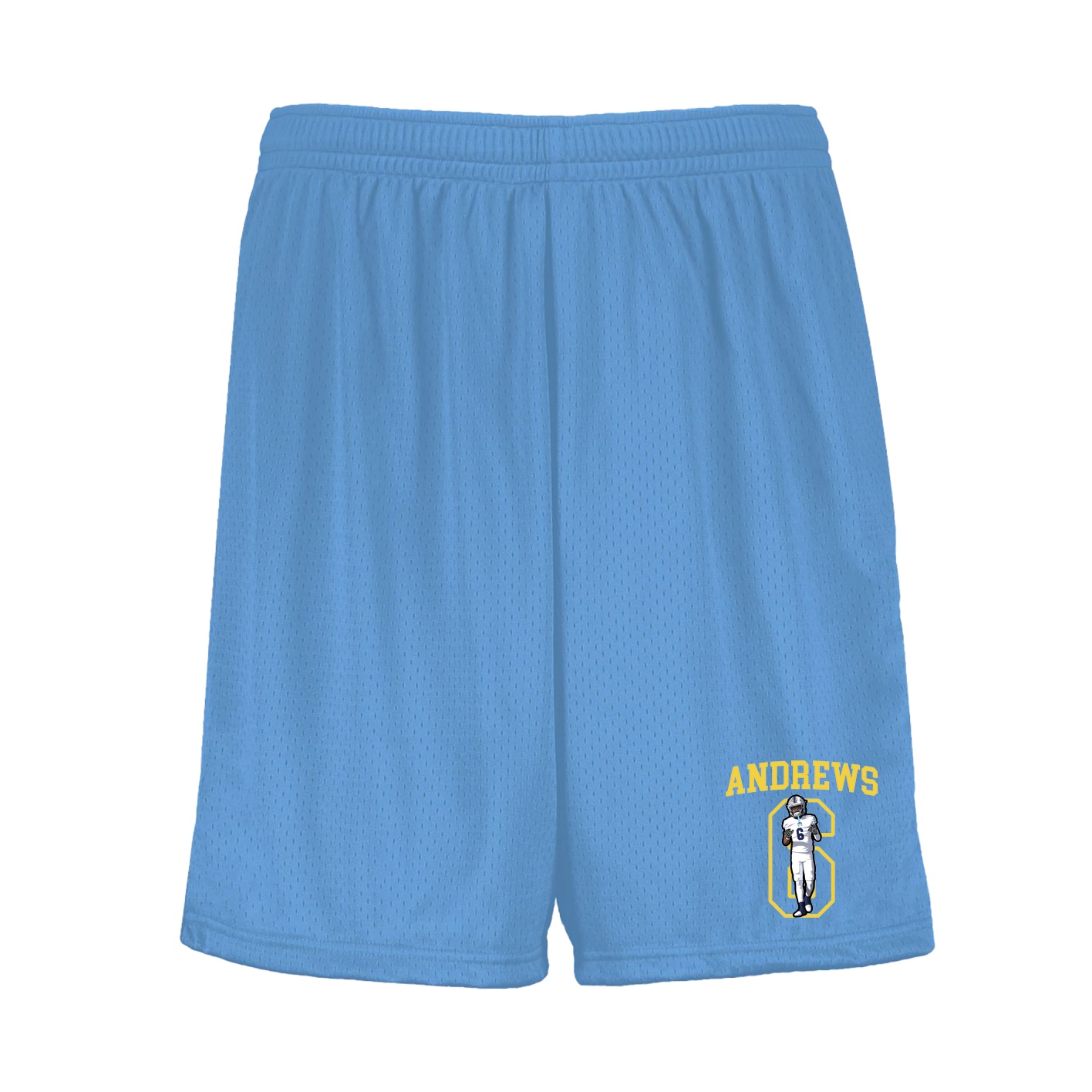 Shorts — Shirsey in Light Blue