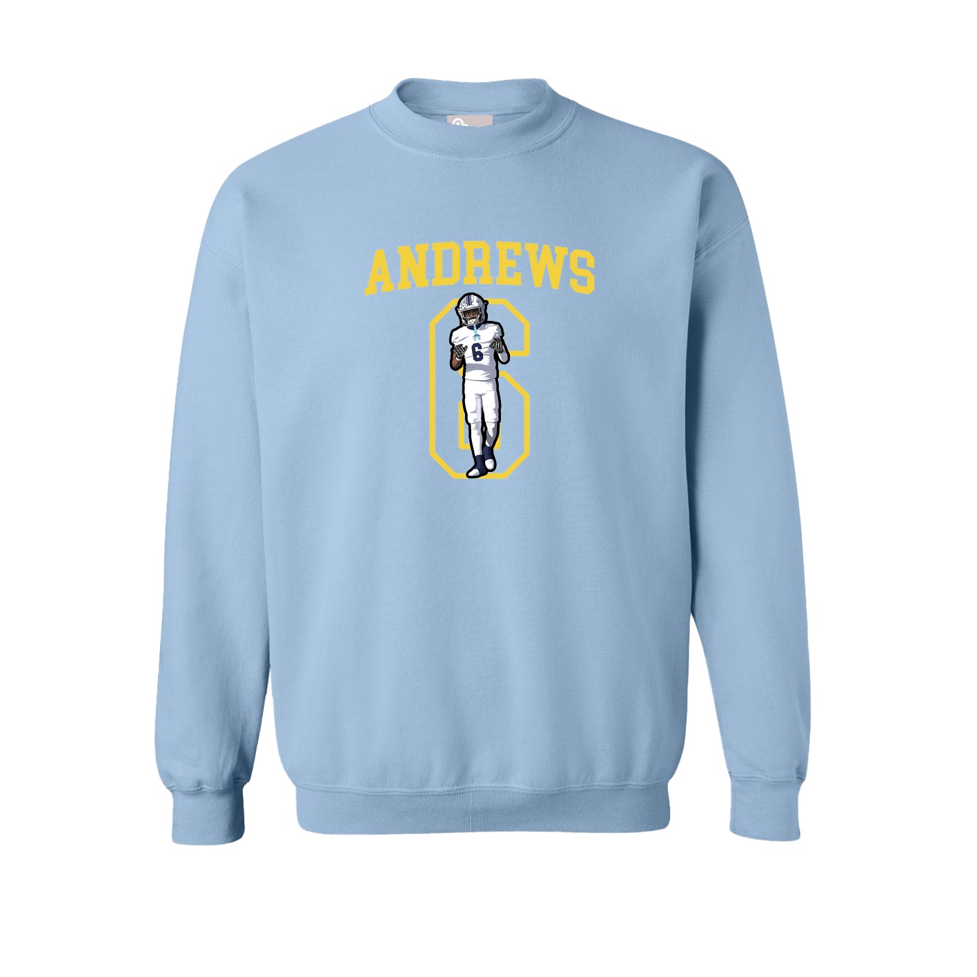 Fleece Crew — Shirsey in Light Blue