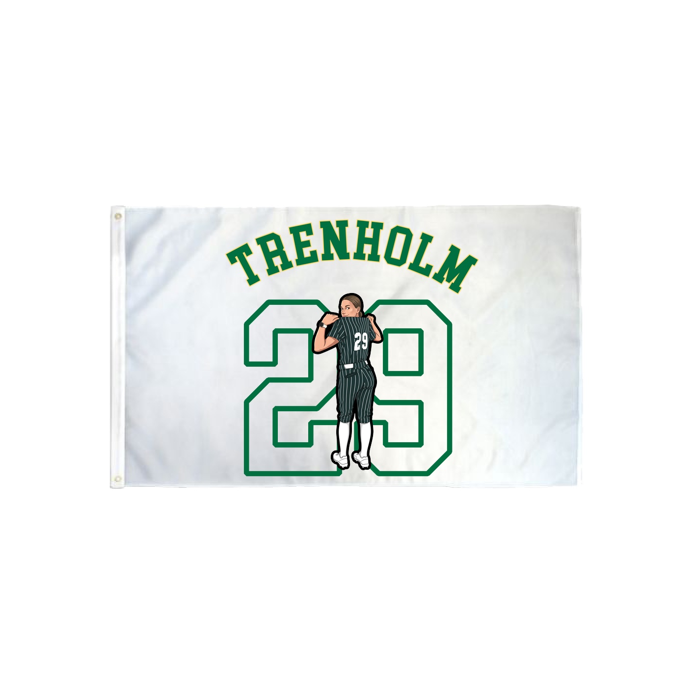 3x5 Flag — Shirsey Arch in Classic