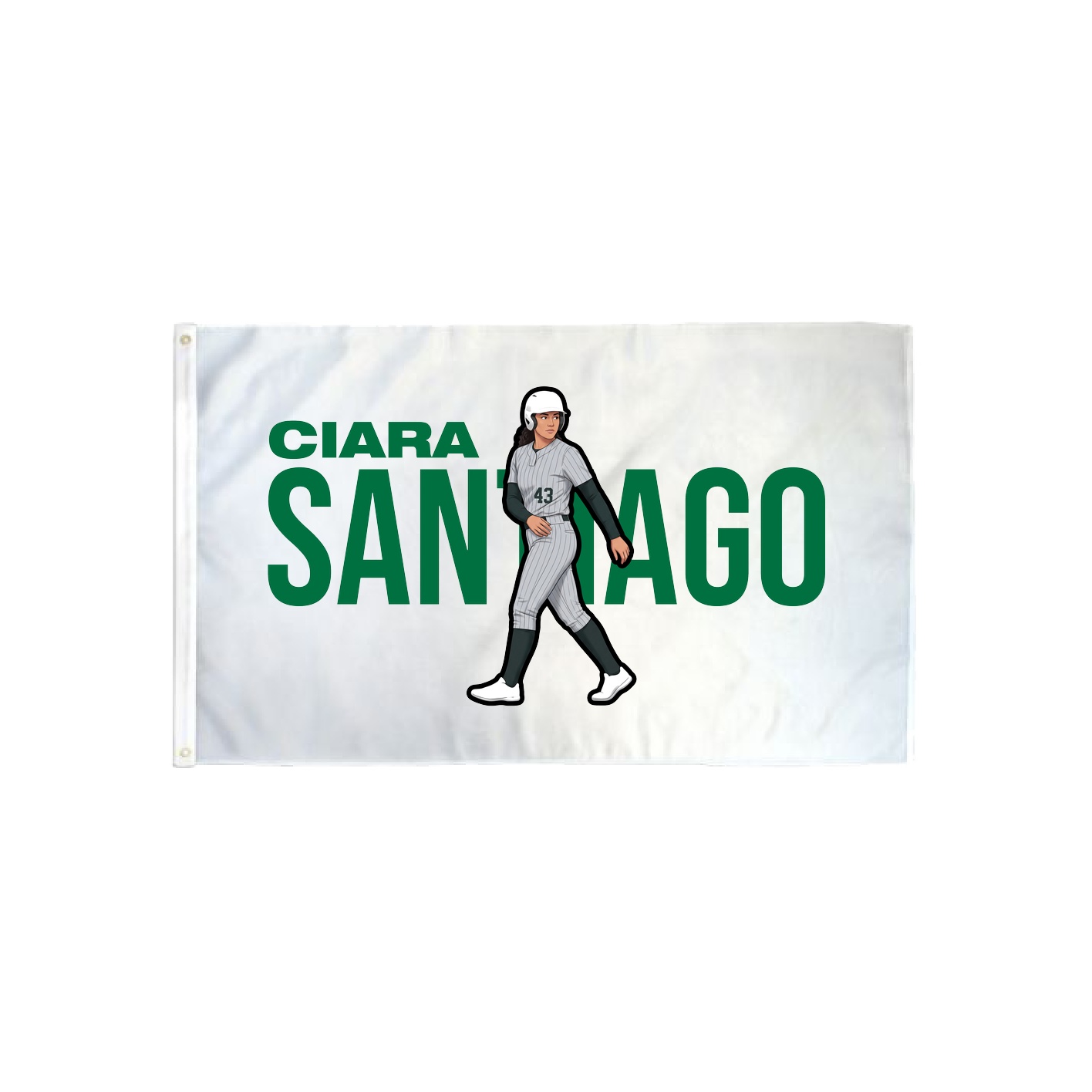 3x5 Flag