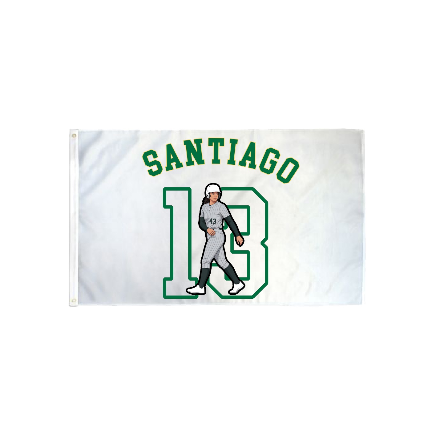 3x5 Flag — Shirsey Arch in Classic