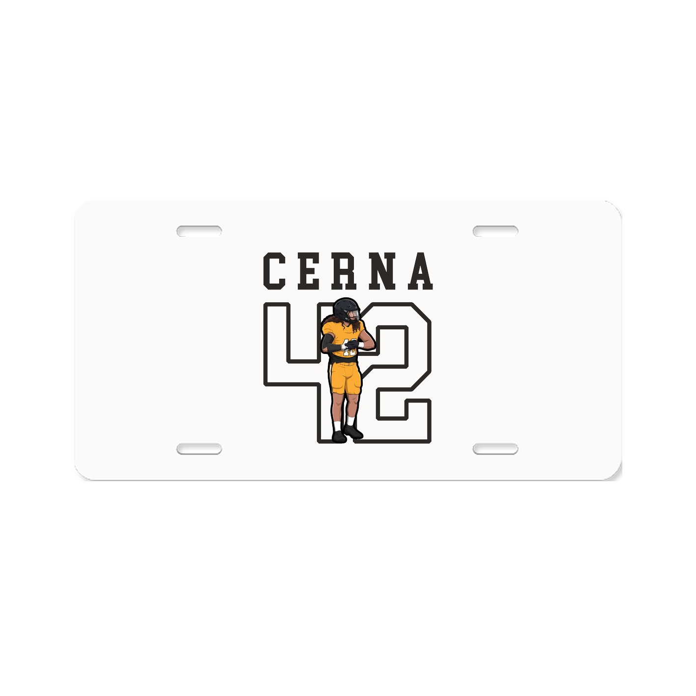 Aluminum License Plate