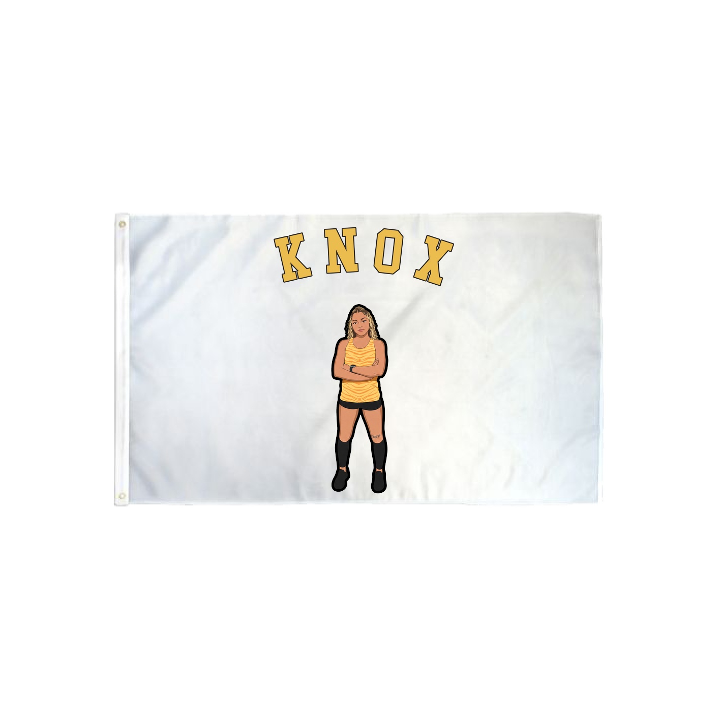 3x5 Flag — Shirsey Arch in Classic