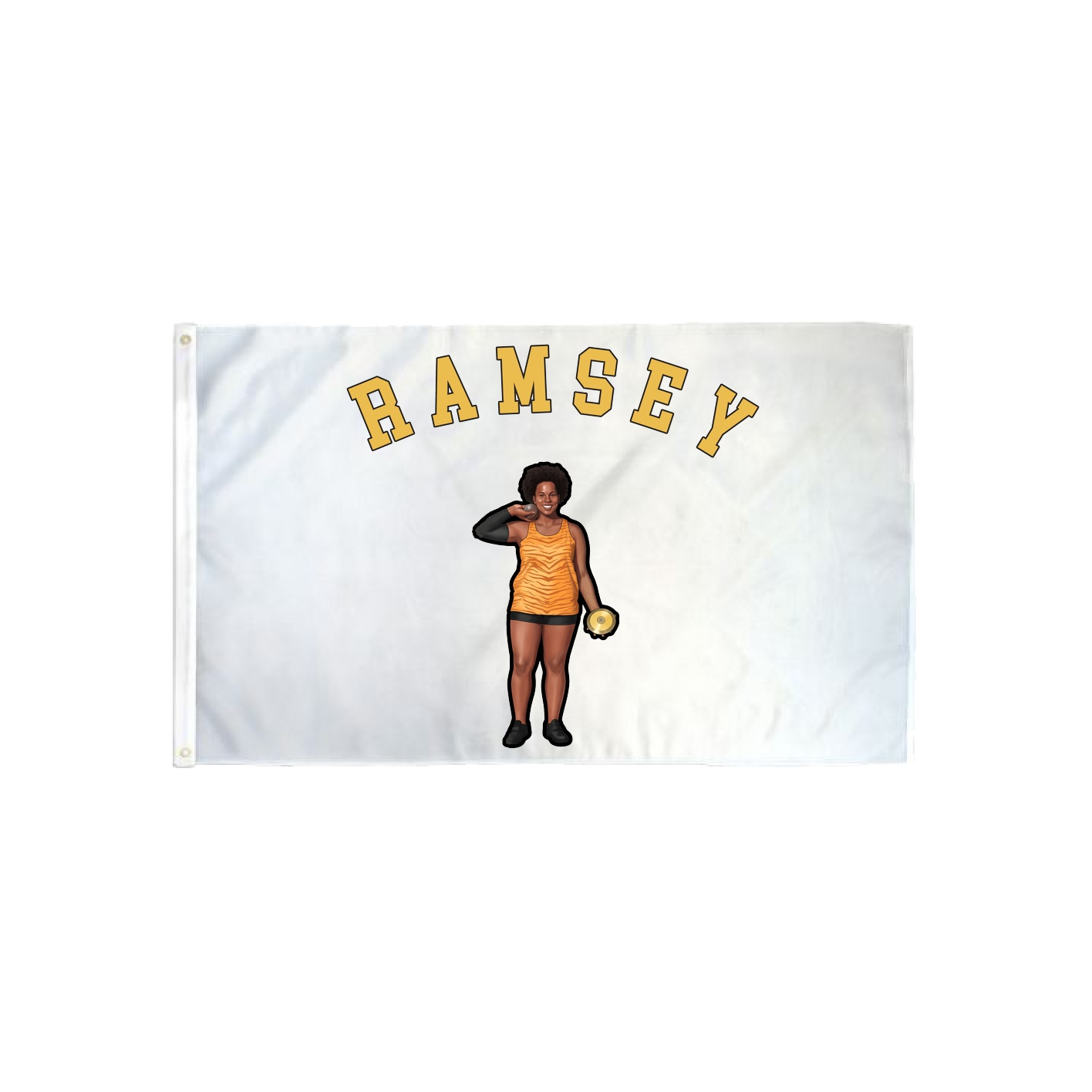 3x5 Flag — Shirsey Arch in Classic