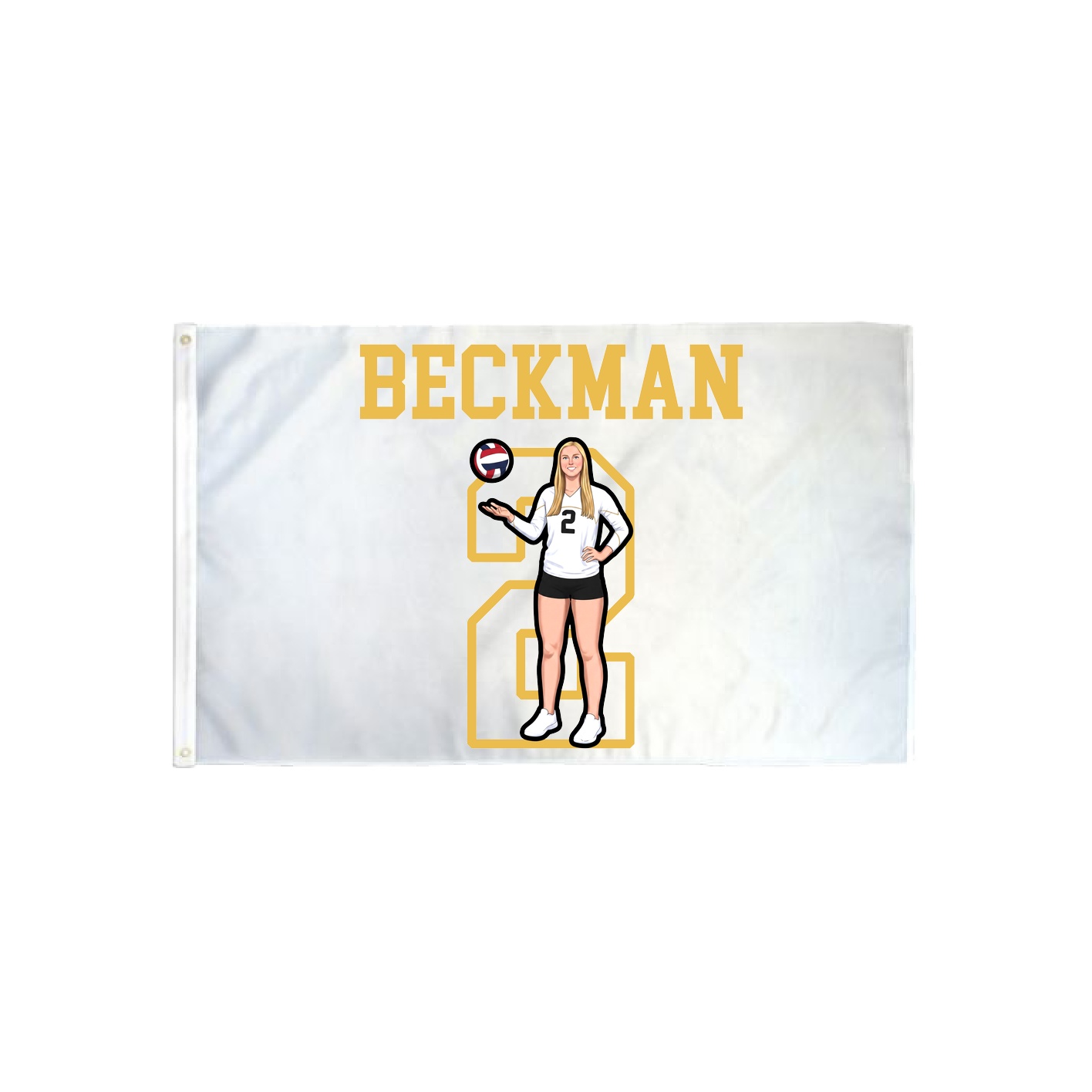 3x5 Flag — Shirsey in Classic