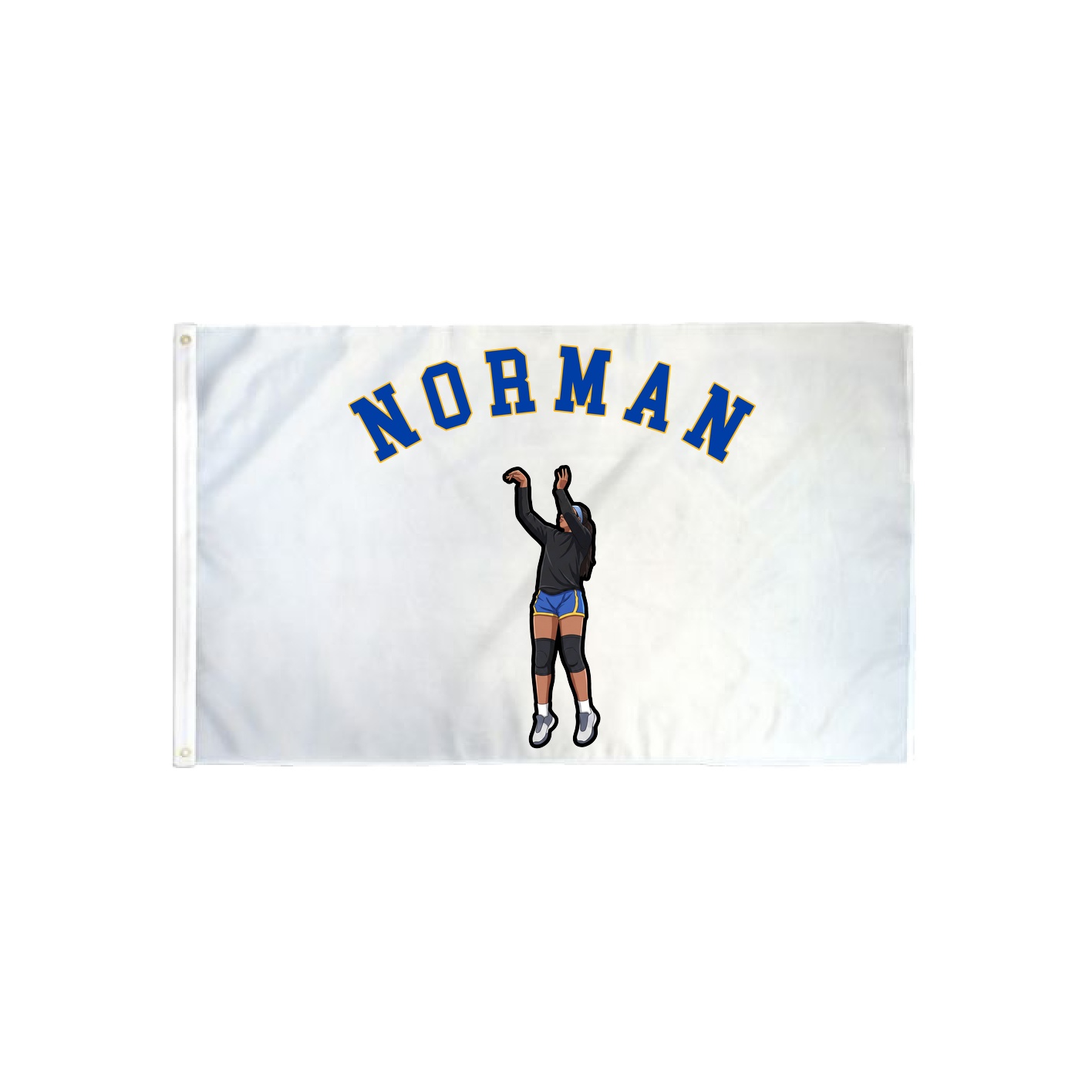 3x5 Flag — Shirsey Arch in Classic