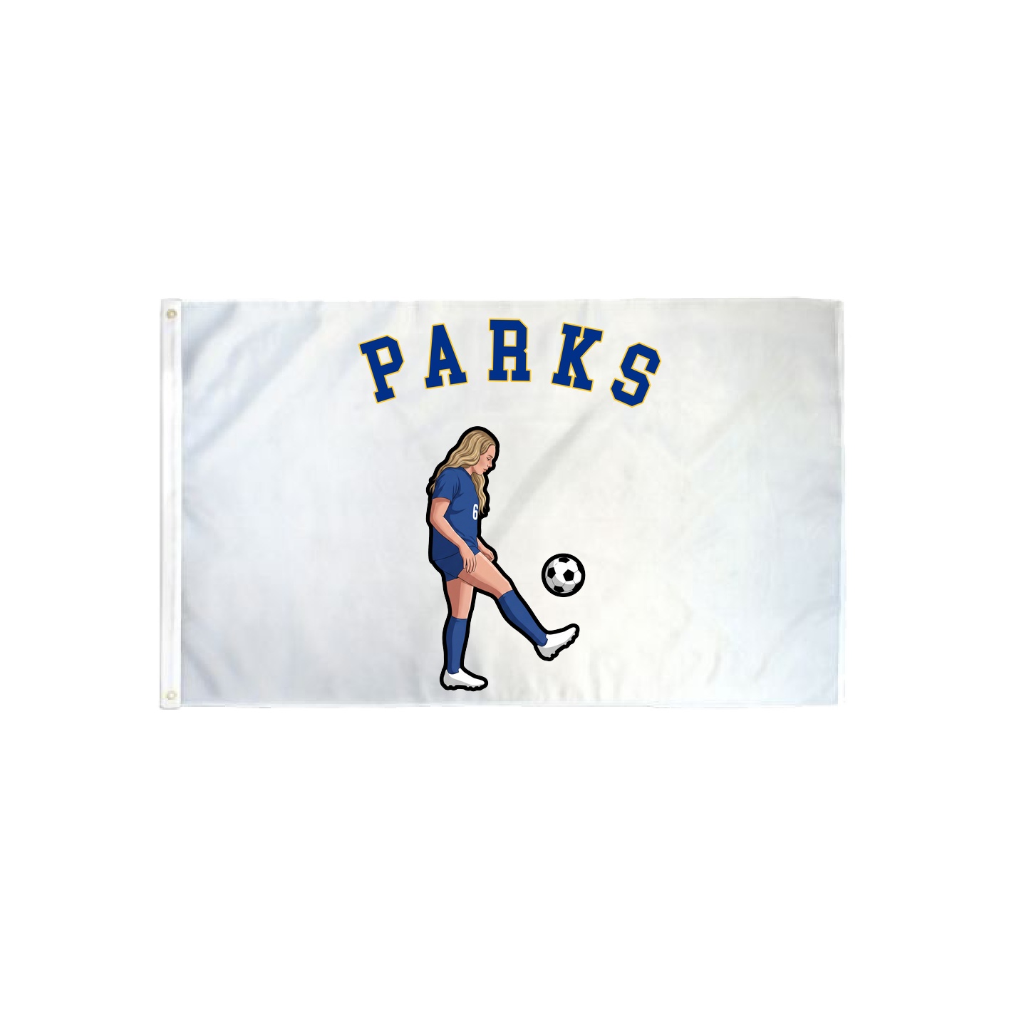 3x5 Flag — Shirsey Arch in Classic