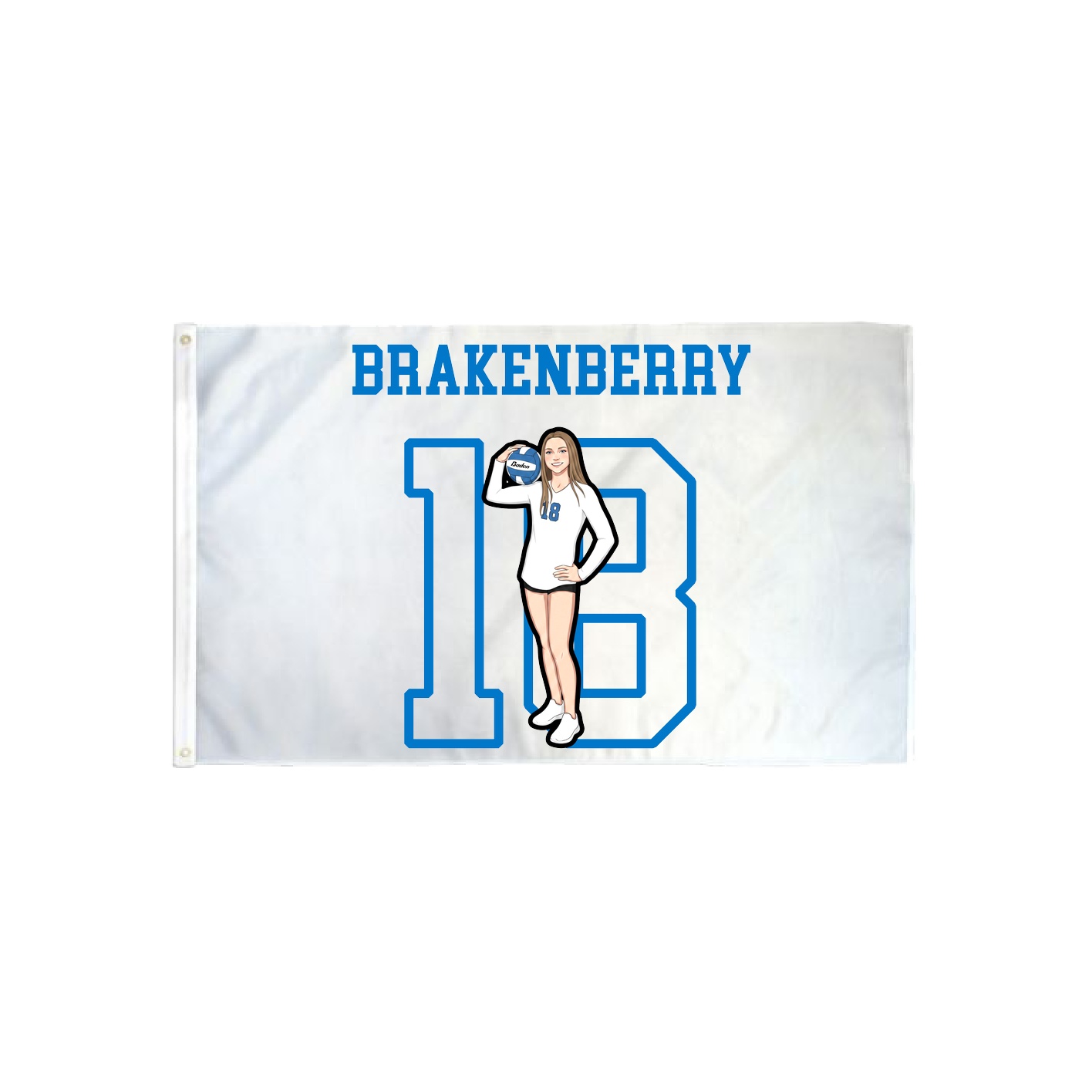 3x5 Flag — Shirsey in Classic