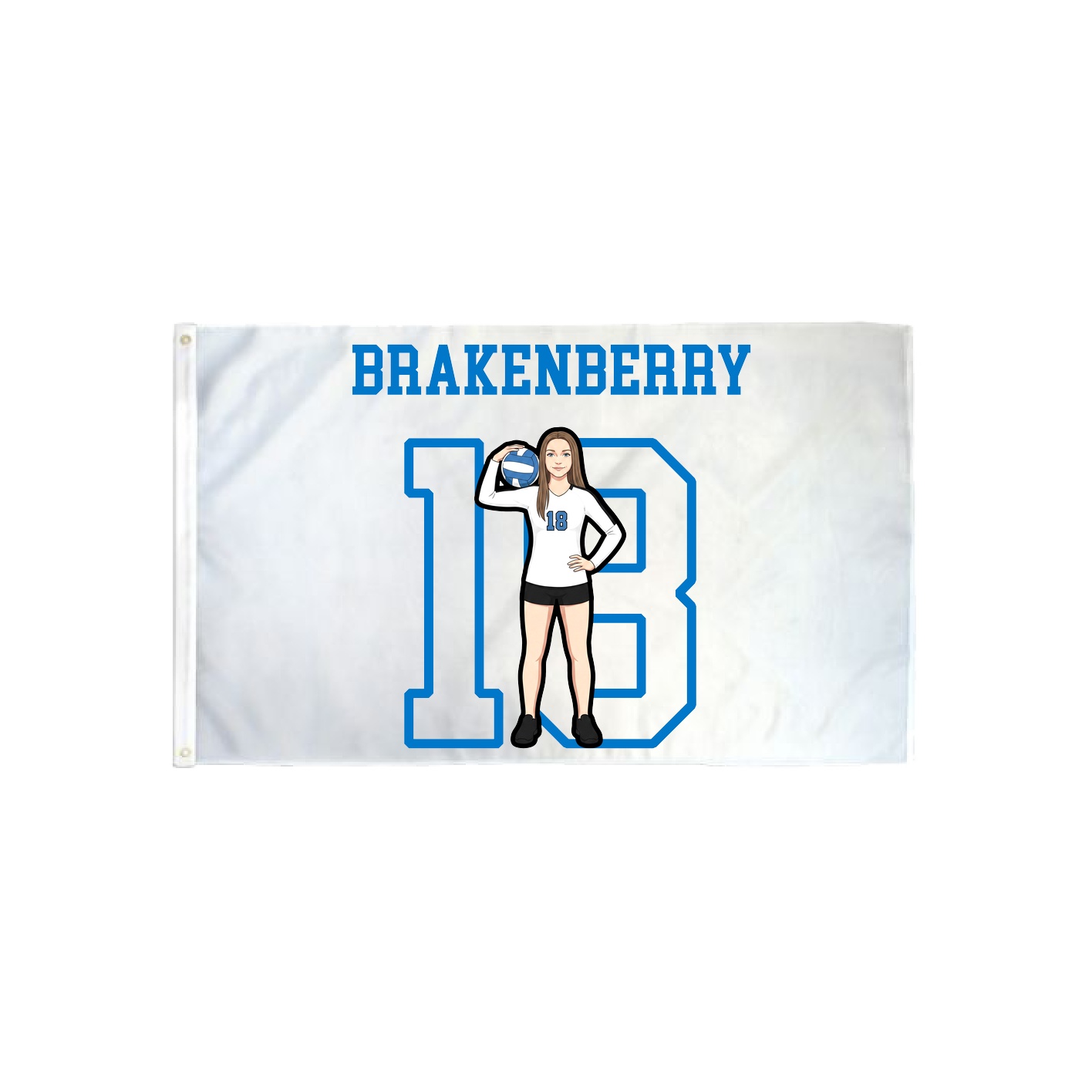 3x5 Flag — Shirsey in Classic