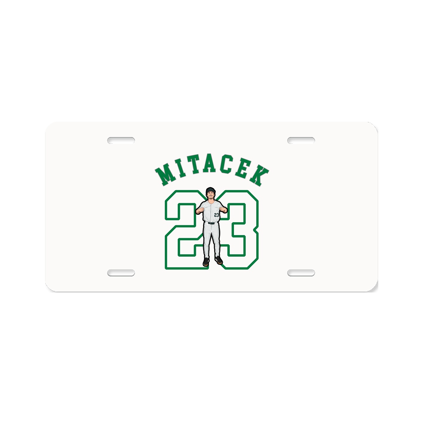 Aluminum License Plate