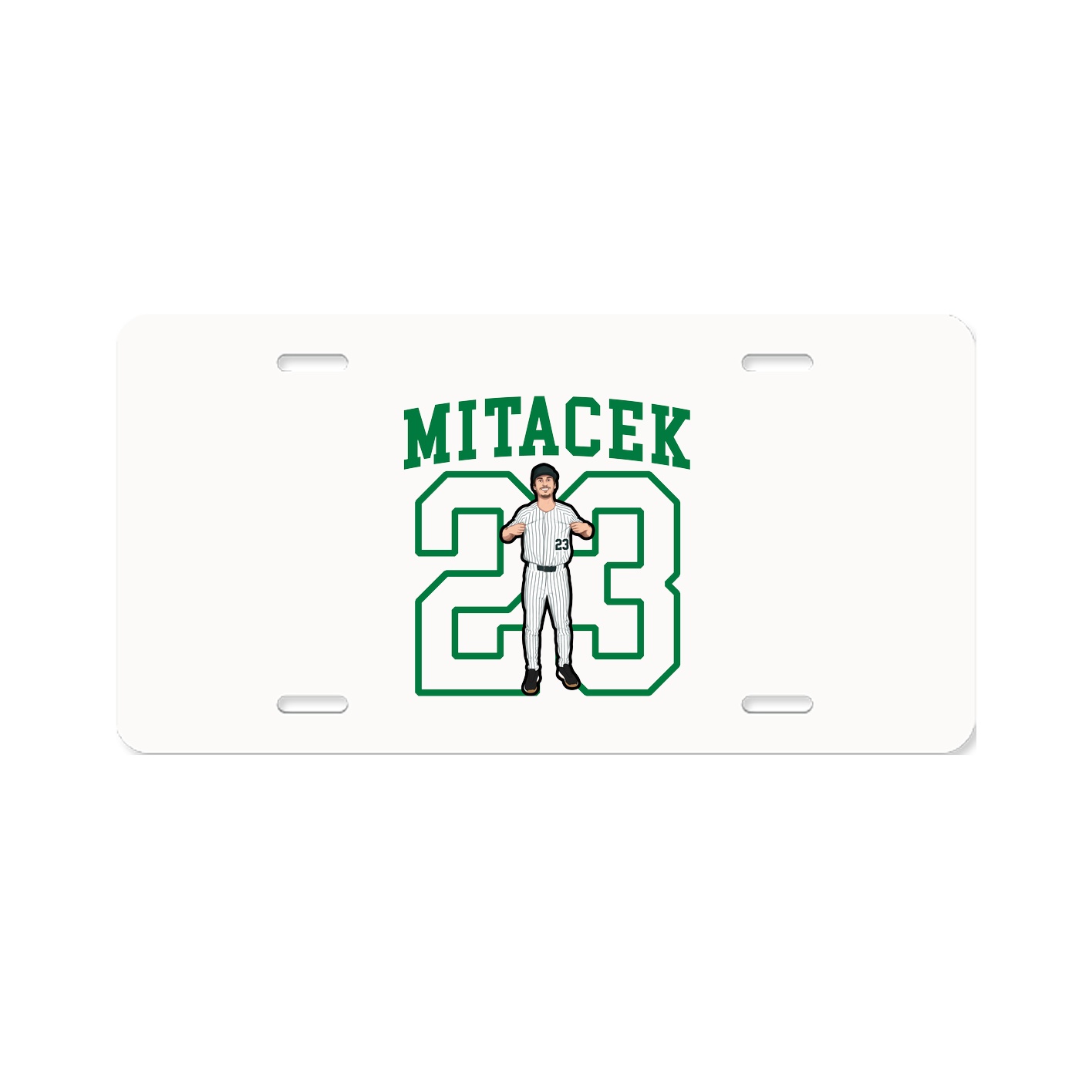 Aluminum License Plate