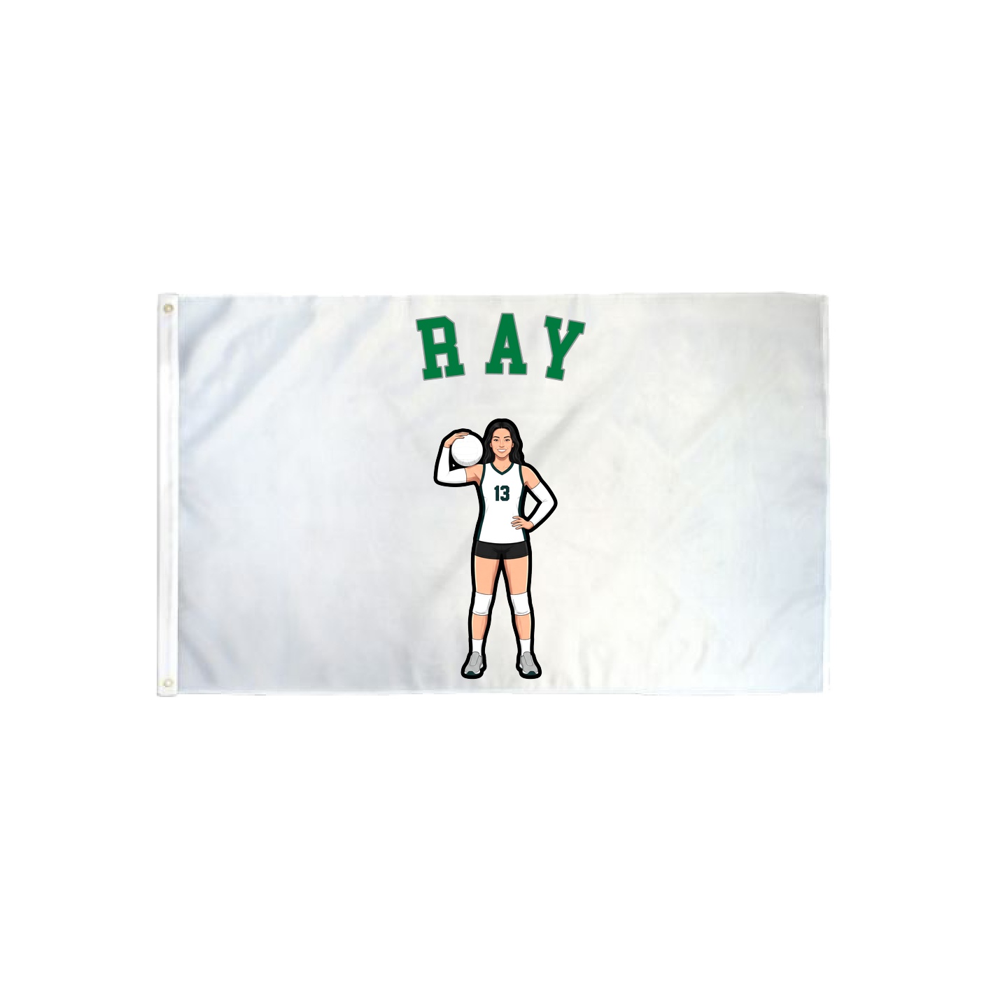 3x5 Flag — Shirsey Arch in Classic