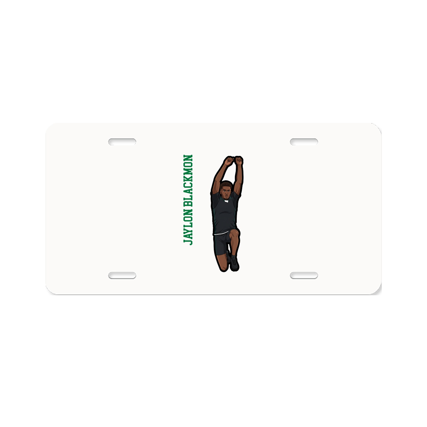 Aluminum License Plate