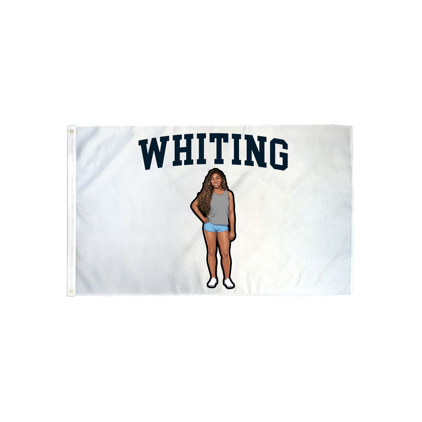 3x5 Flag — Shirsey in Classic