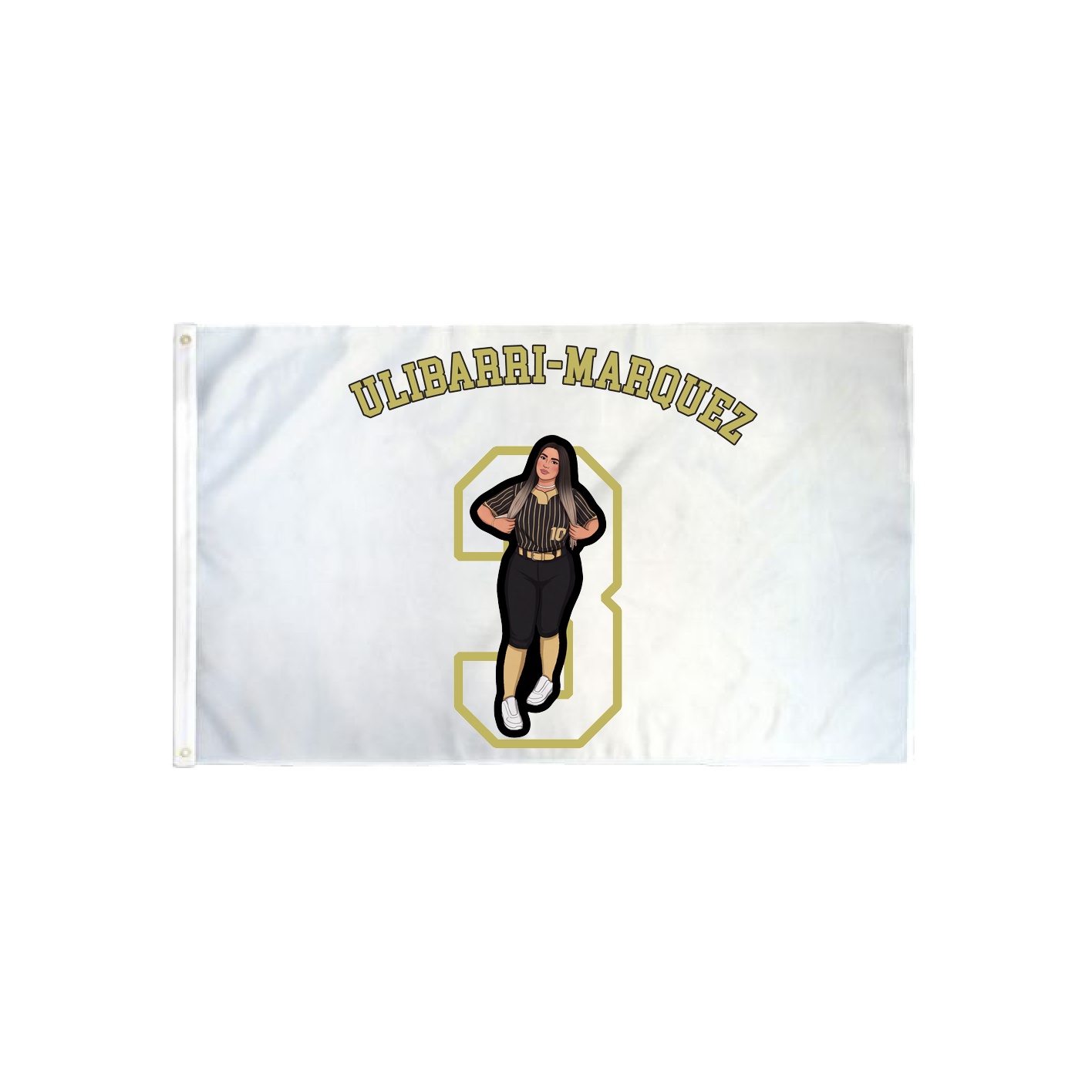 3x5 Flag — Shirsey Arch in Classic