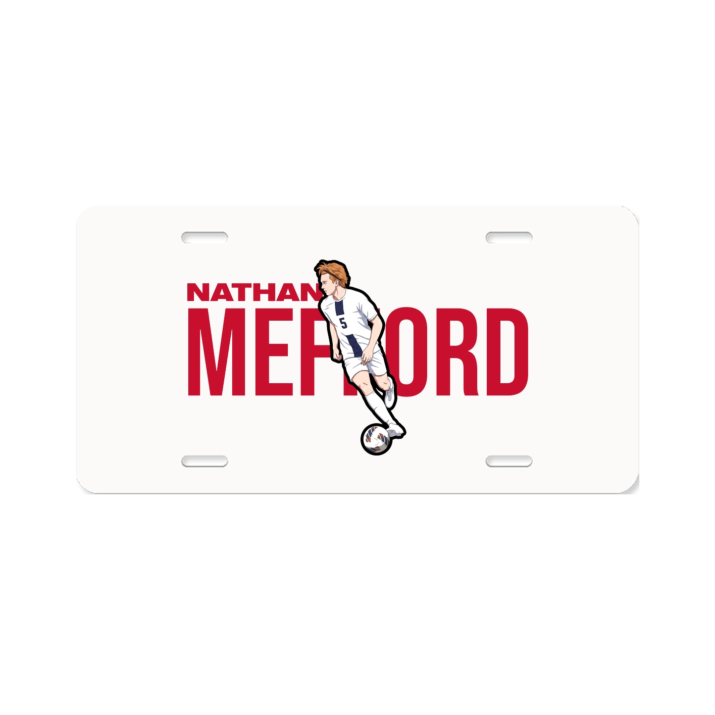 License Plate
