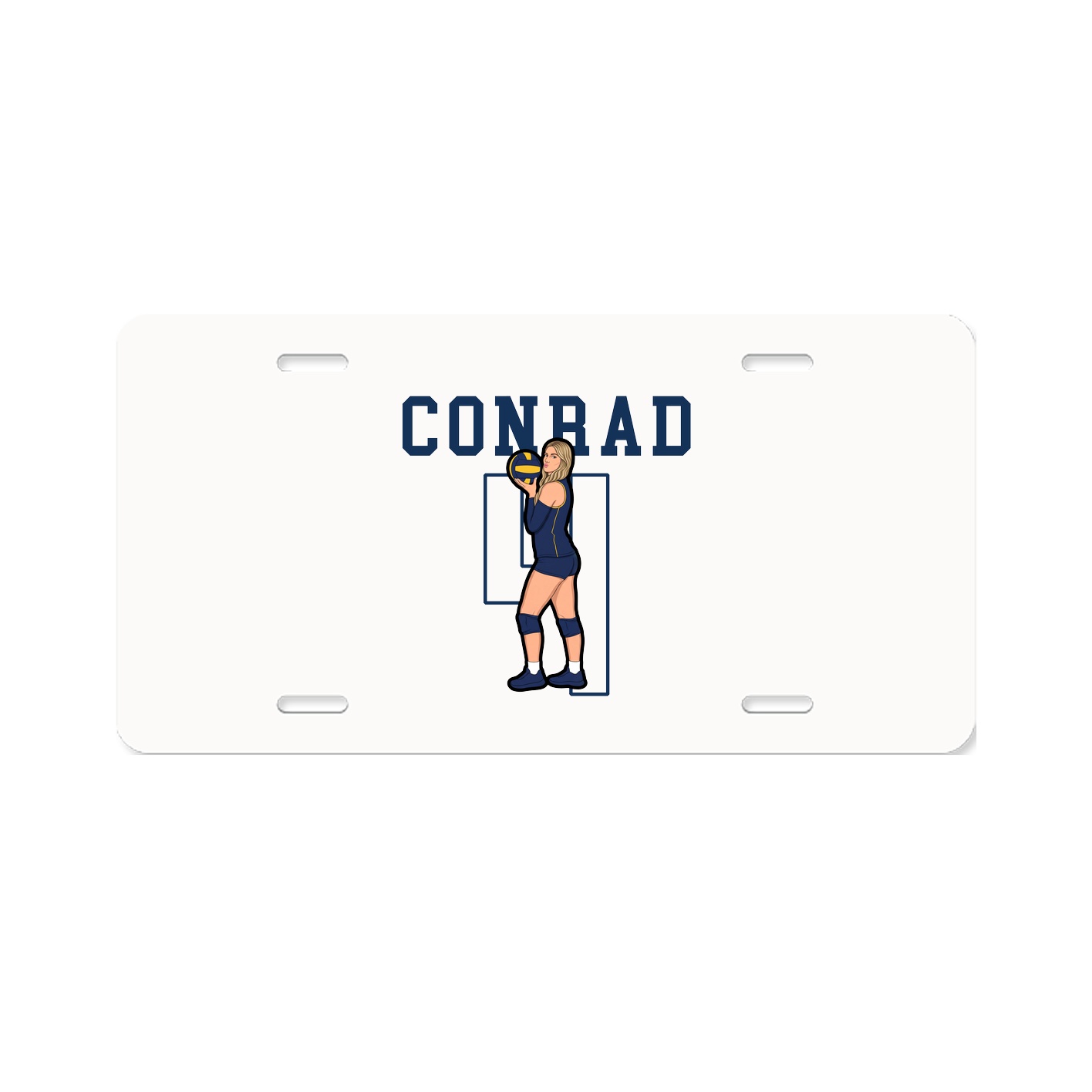 License Plate
