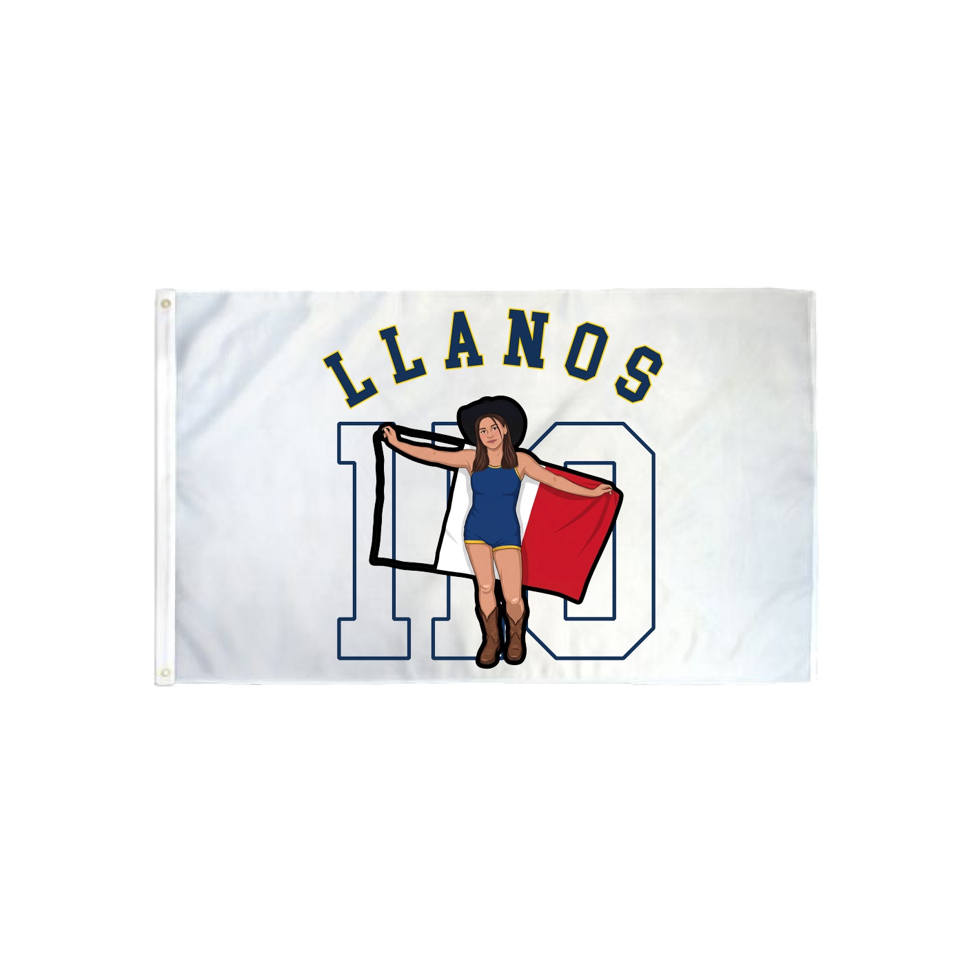 3x5 Flag — Shirsey Arch in Classic