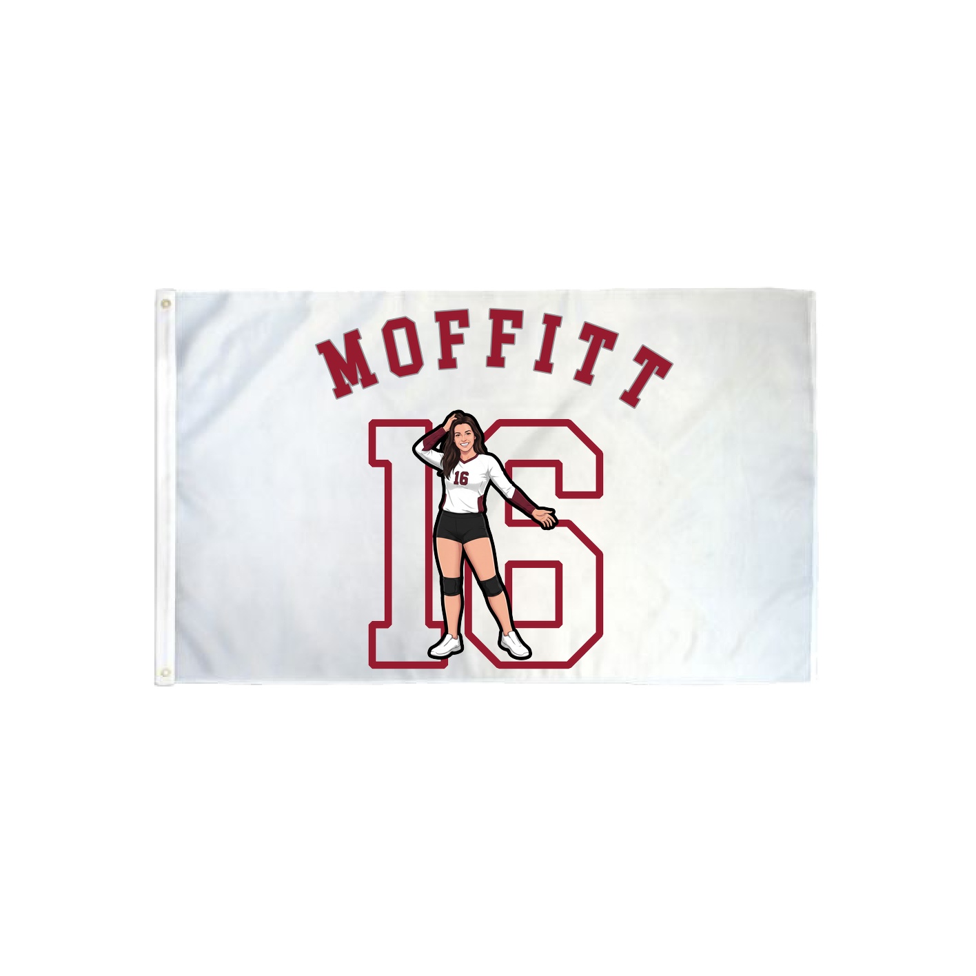 3x5 Flag — Shirsey Arch in Classic