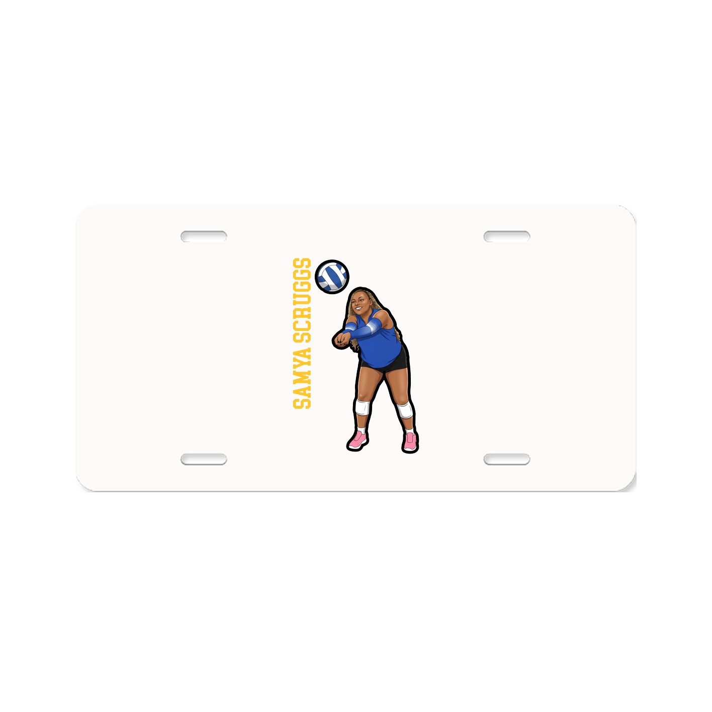 Aluminum License Plate