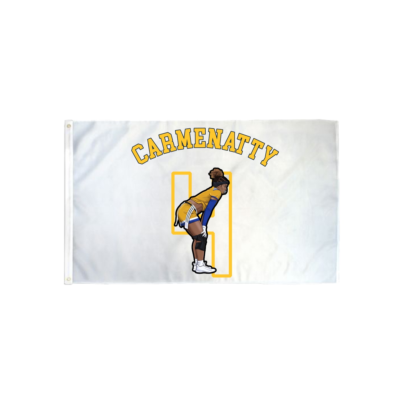 3x5 Flag — Shirsey Arch in Classic