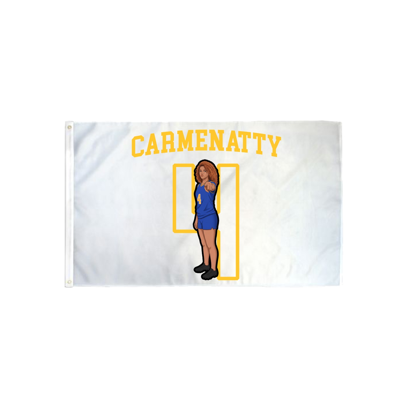 3x5 Flag — Shirsey in Classic