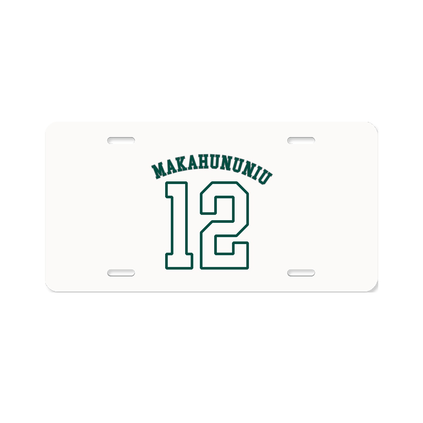License Plate