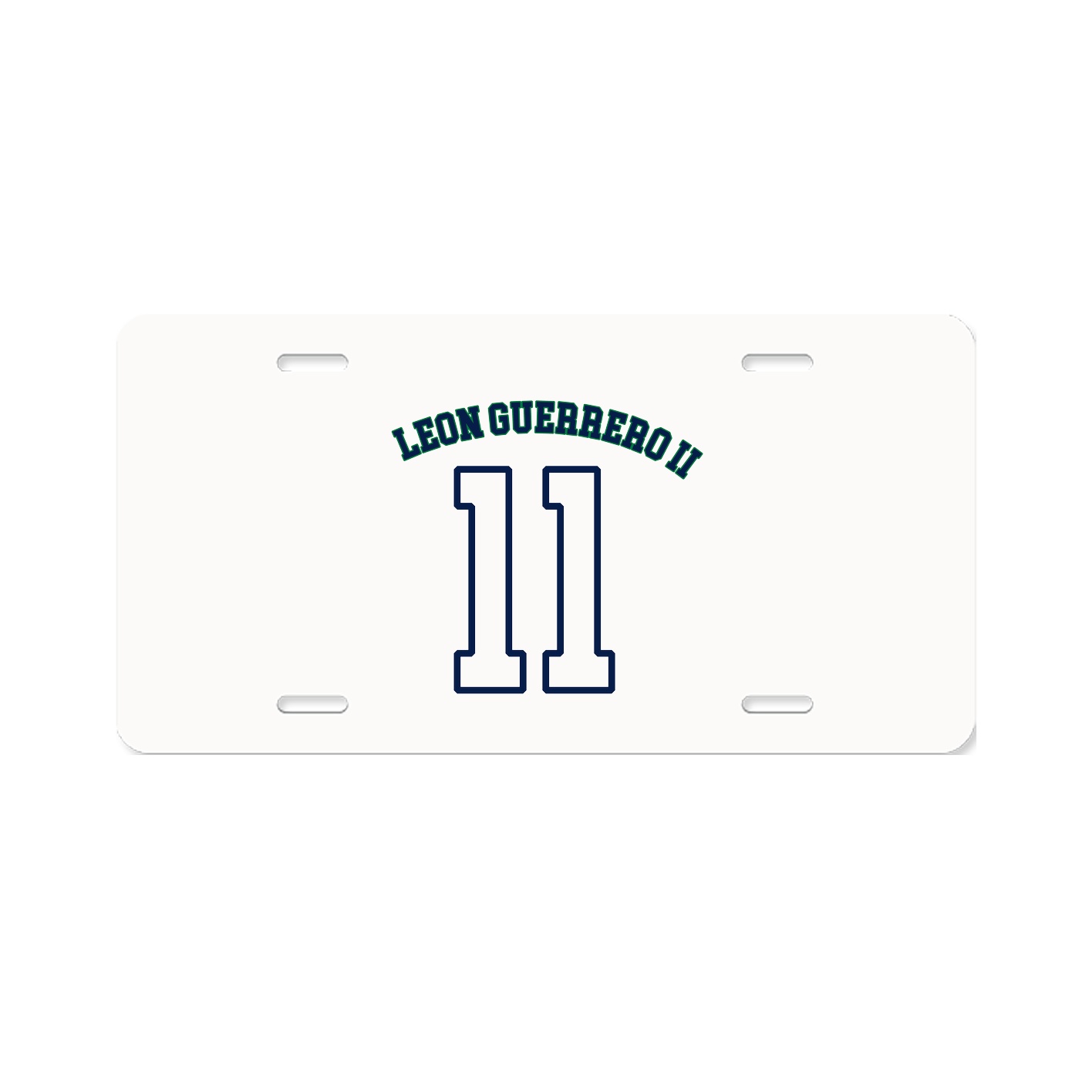 License Plate