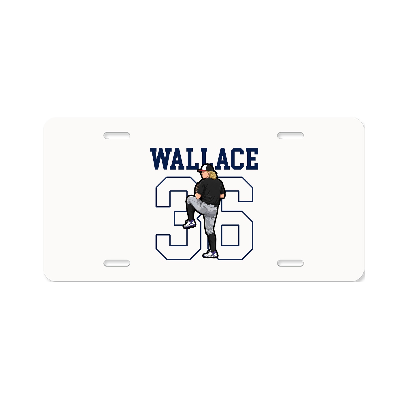 License Plate
