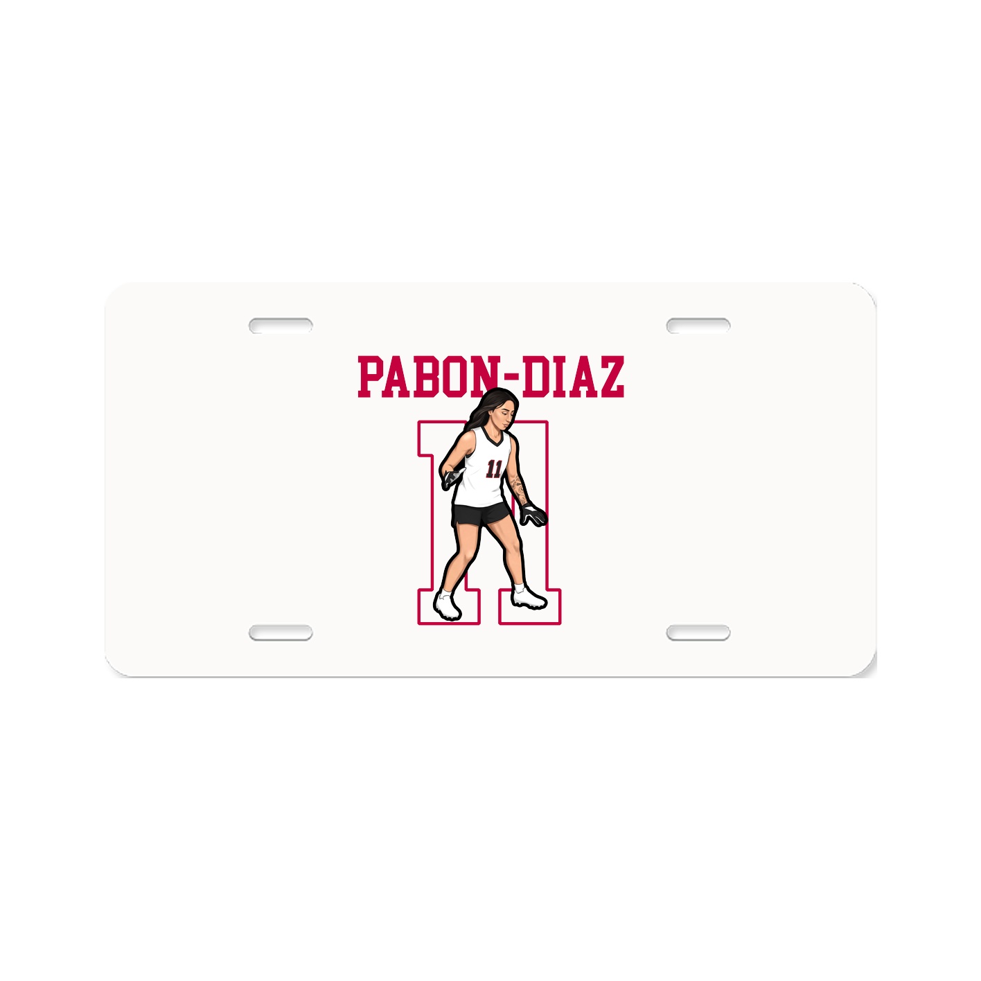 Aluminum License Plate