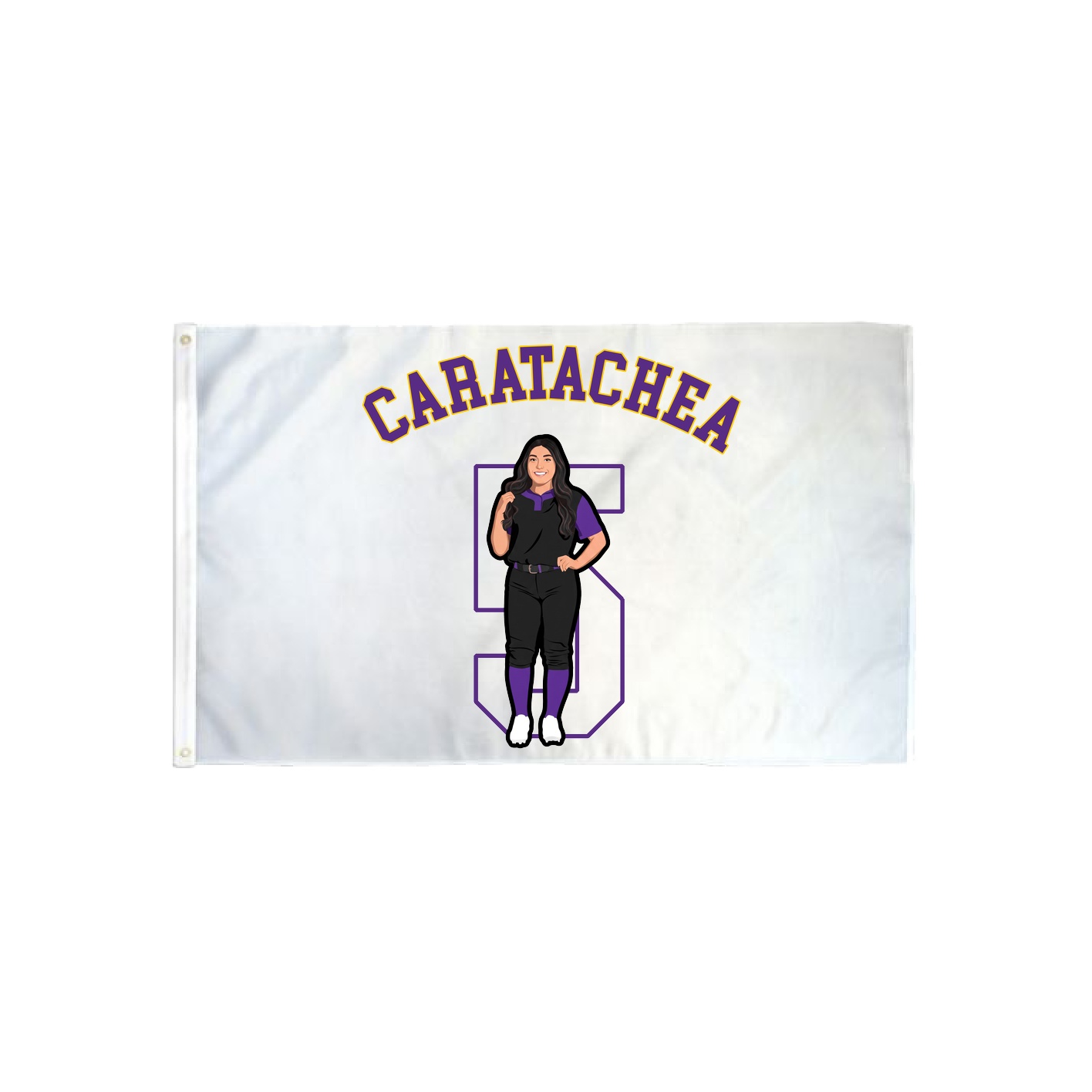 3x5 Flag — Shirsey Arch in Classic