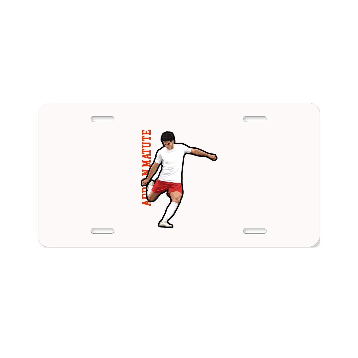 Aluminum License Plate