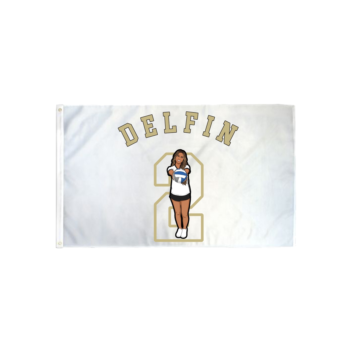 3x5 Flag — Shirsey Arch in Classic