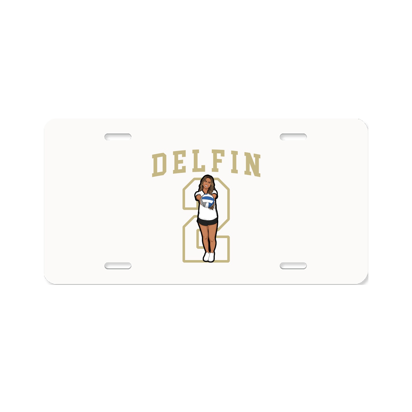 Aluminum License Plate