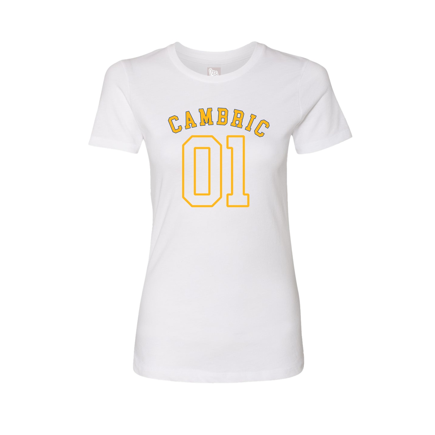 Fitted Women's Tee — Shirsey Arch in White