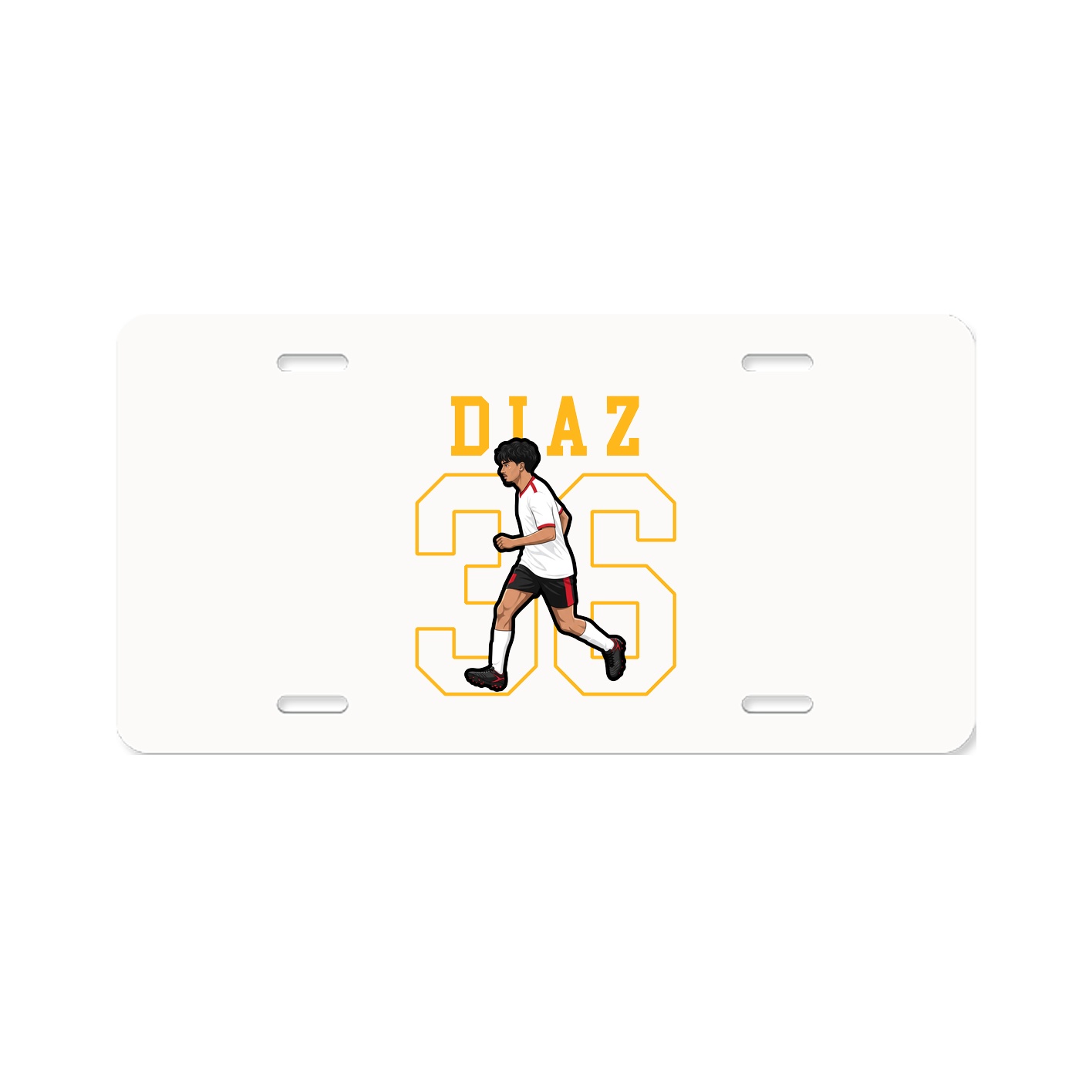 License Plate