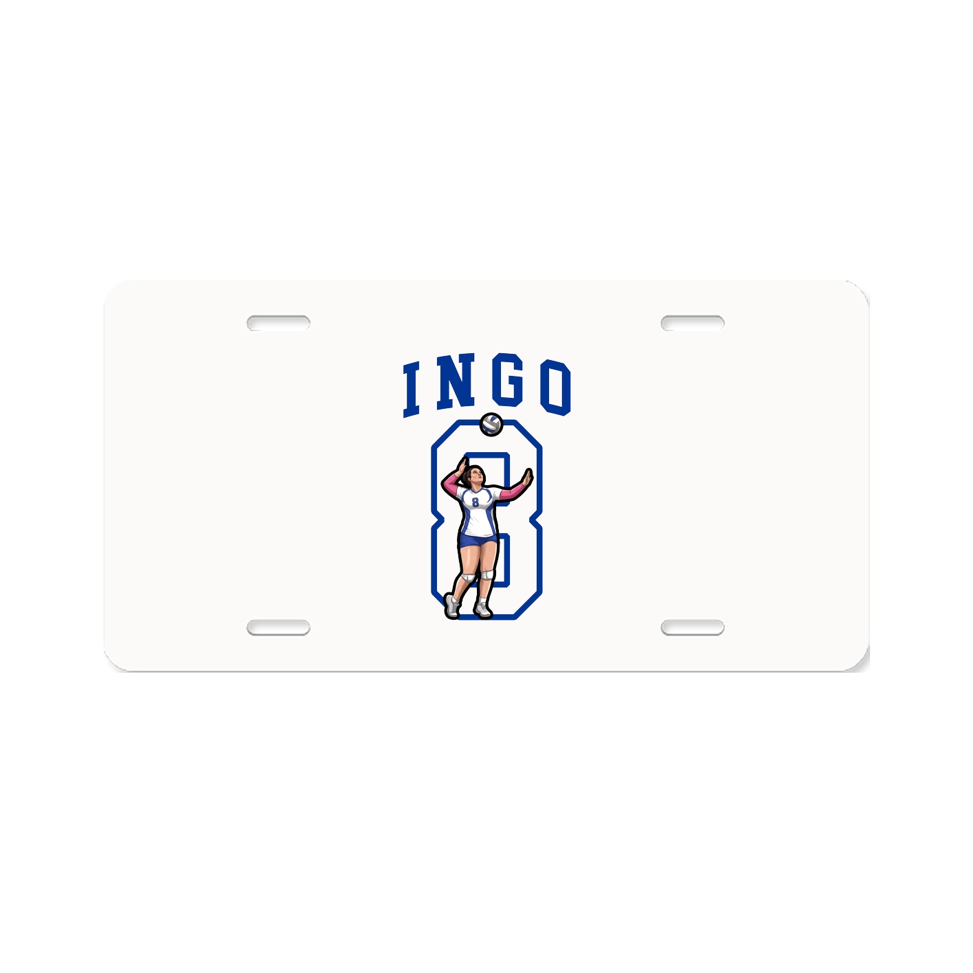 Aluminum License Plate