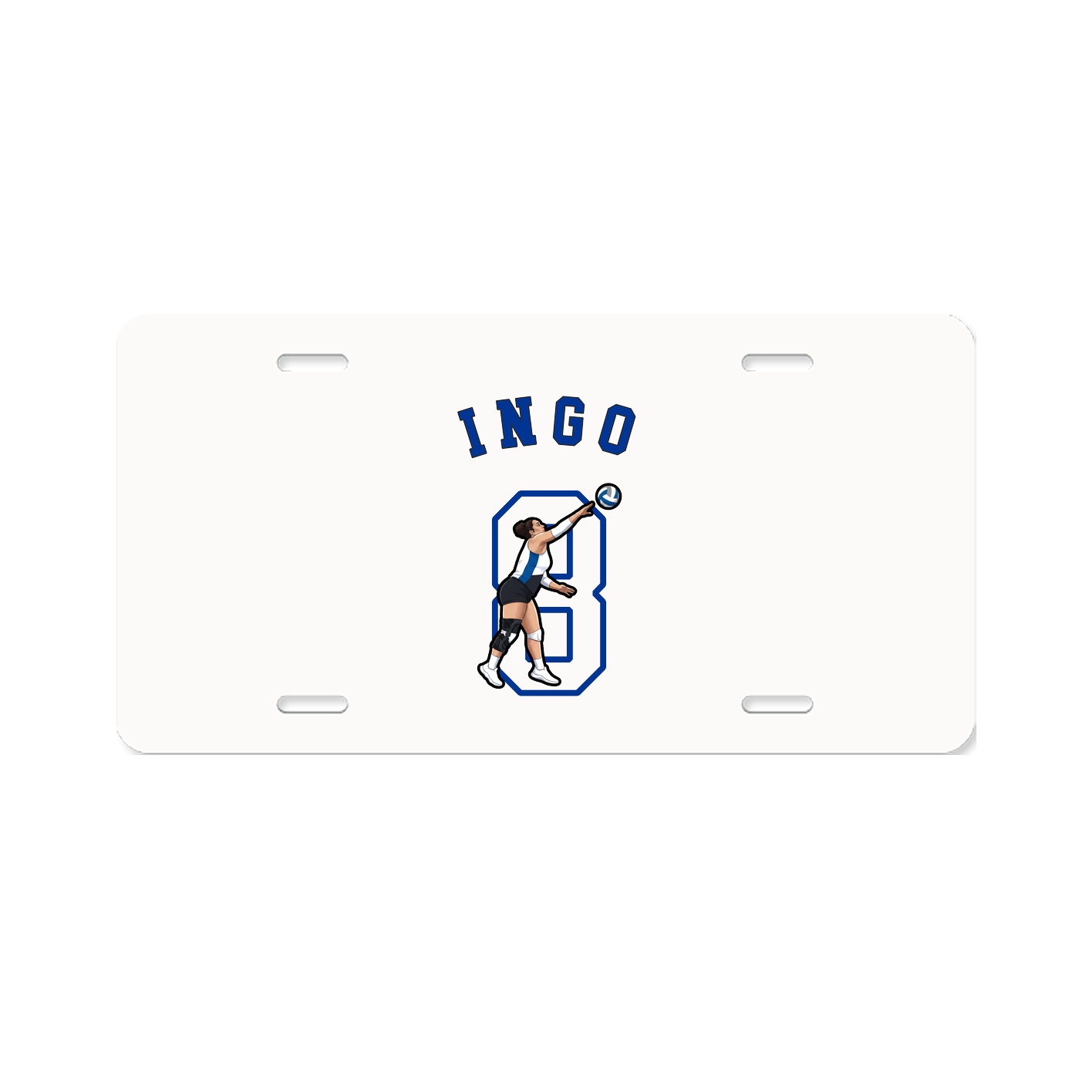 Aluminum License Plate