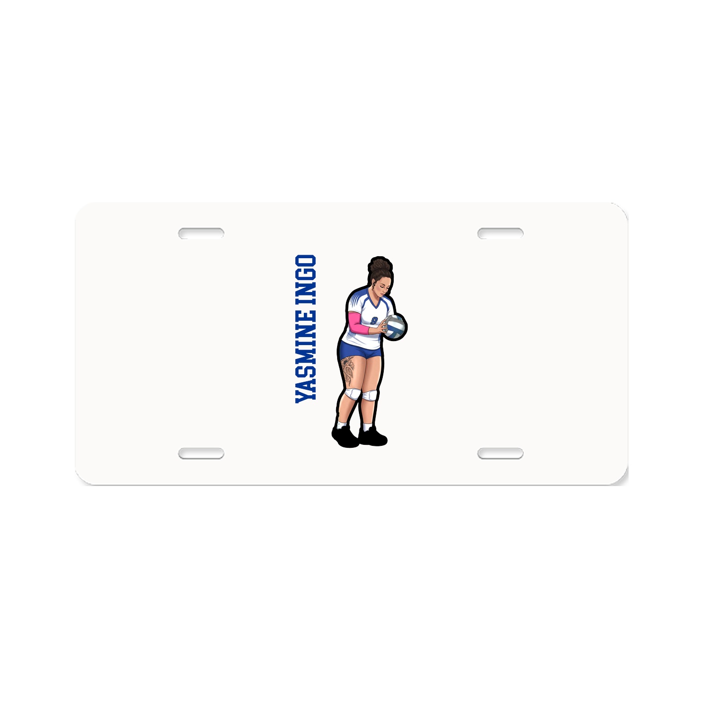 Aluminum License Plate